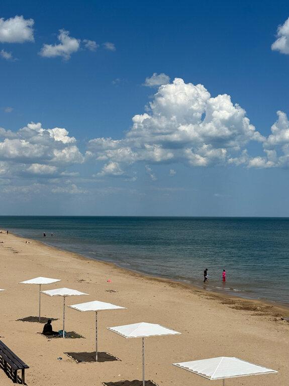 Фото Фламинго