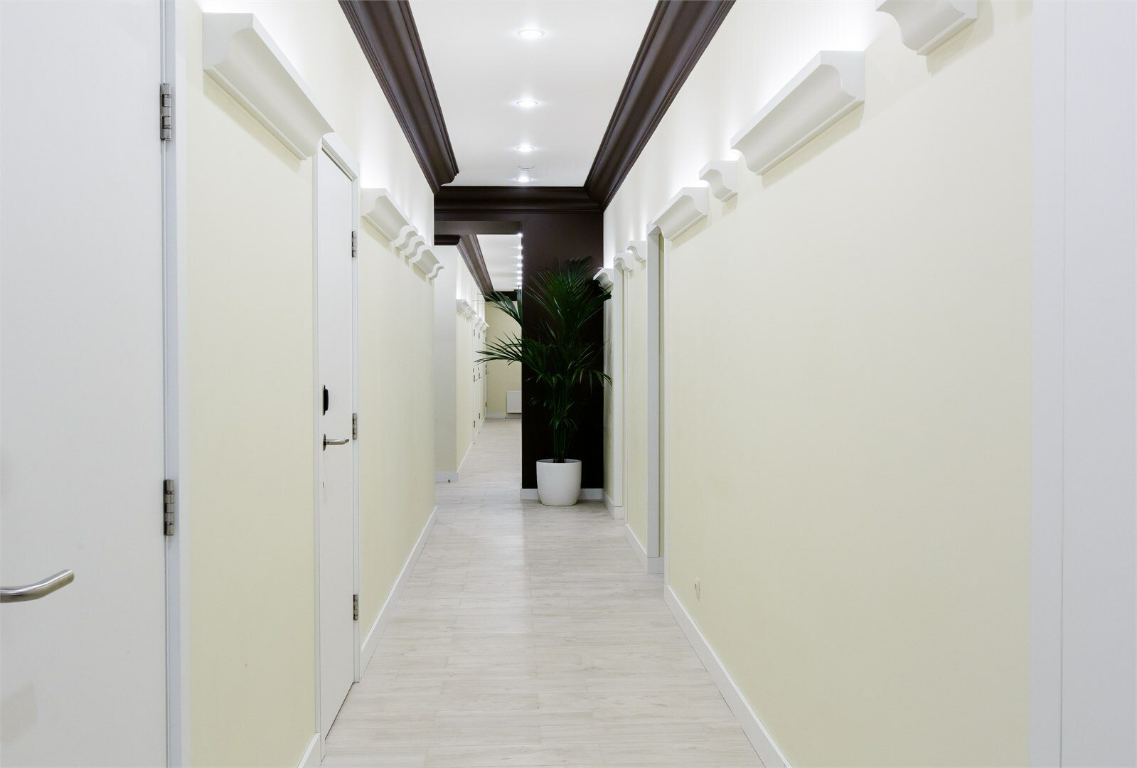 Фото Далиси