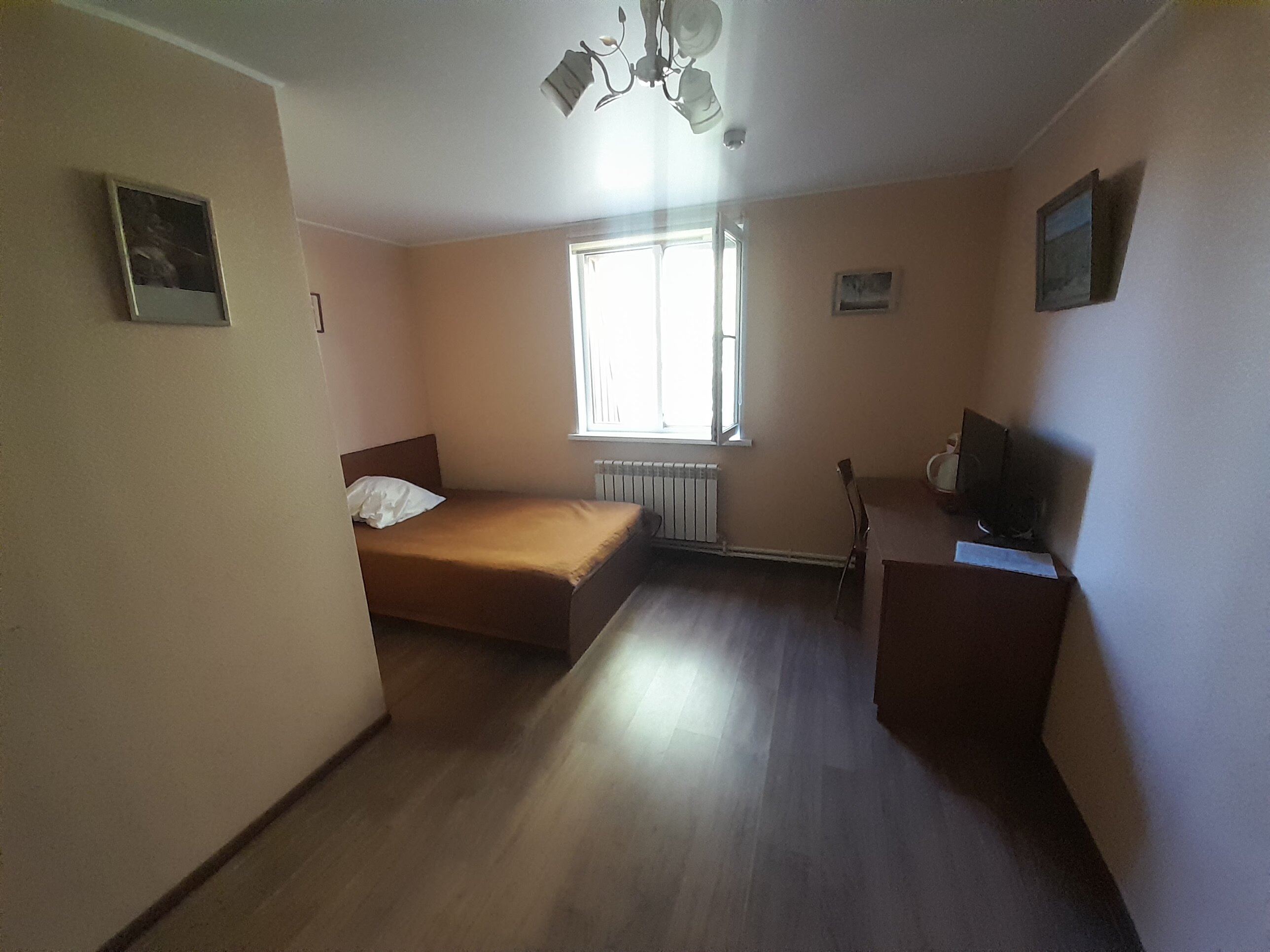 Фото Спутник