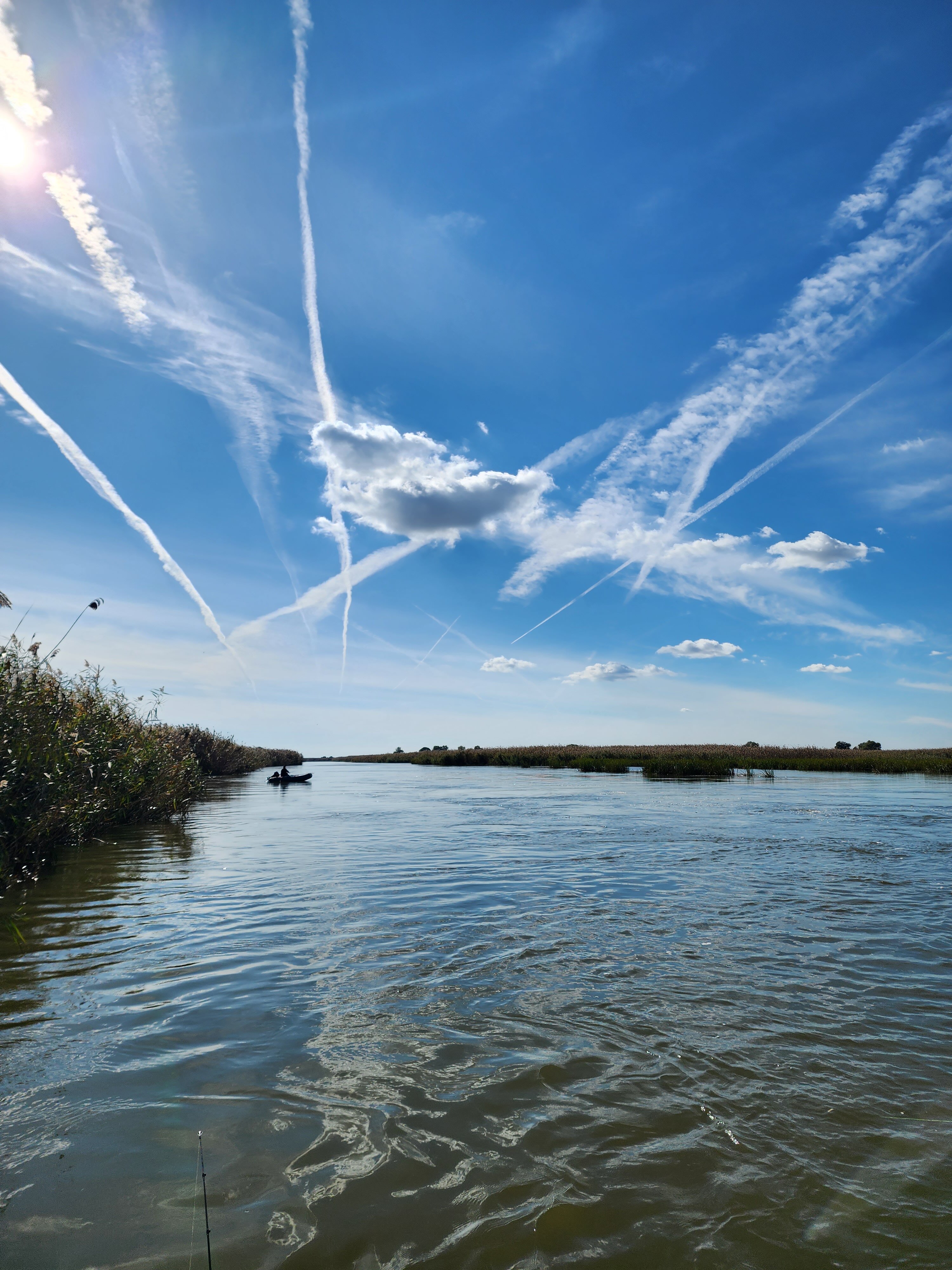 Фото Пиранья Дельта