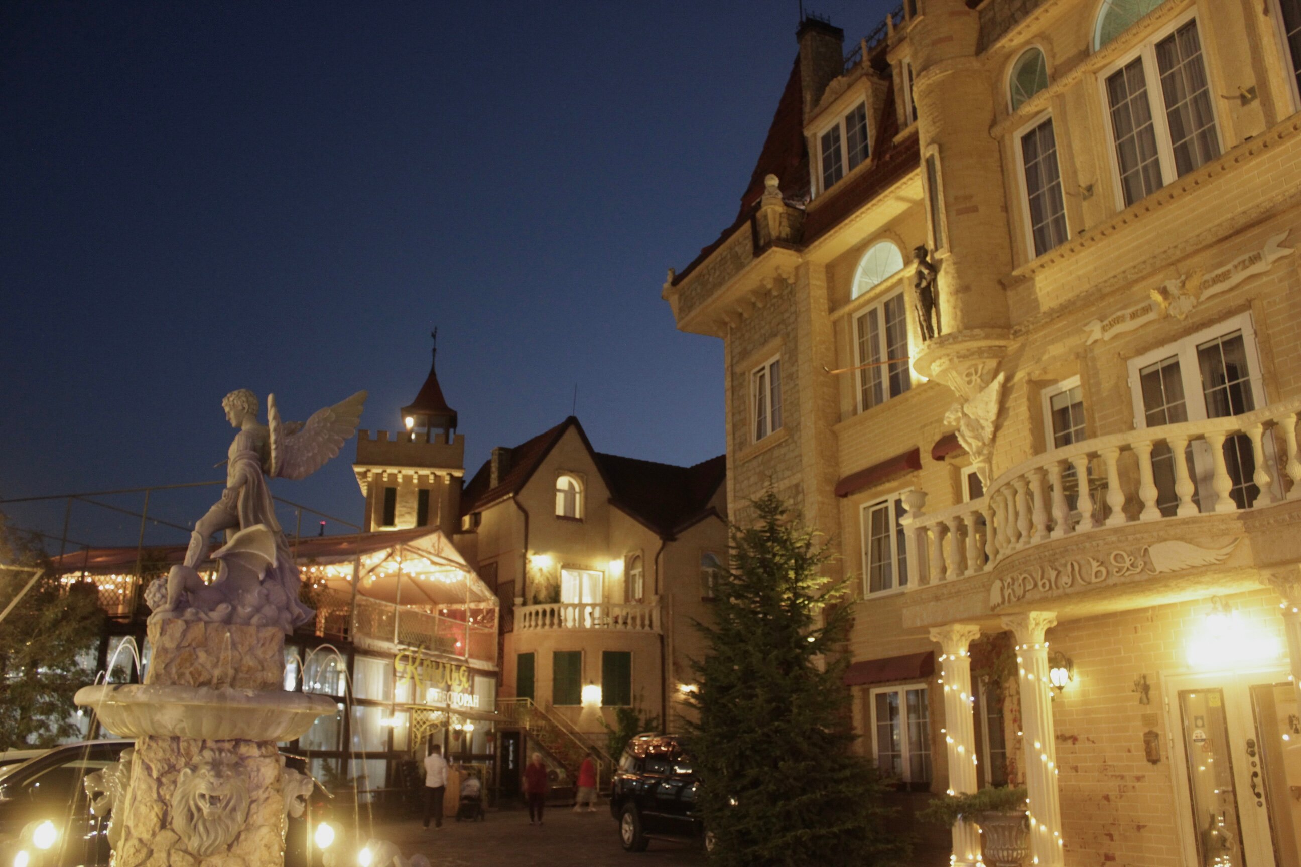 Фото Крылья