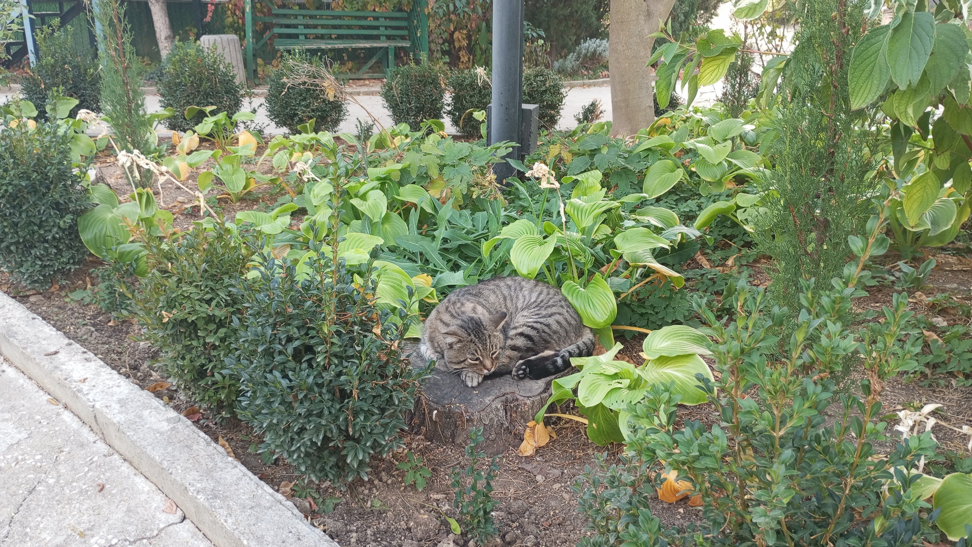 Фото Любоморье