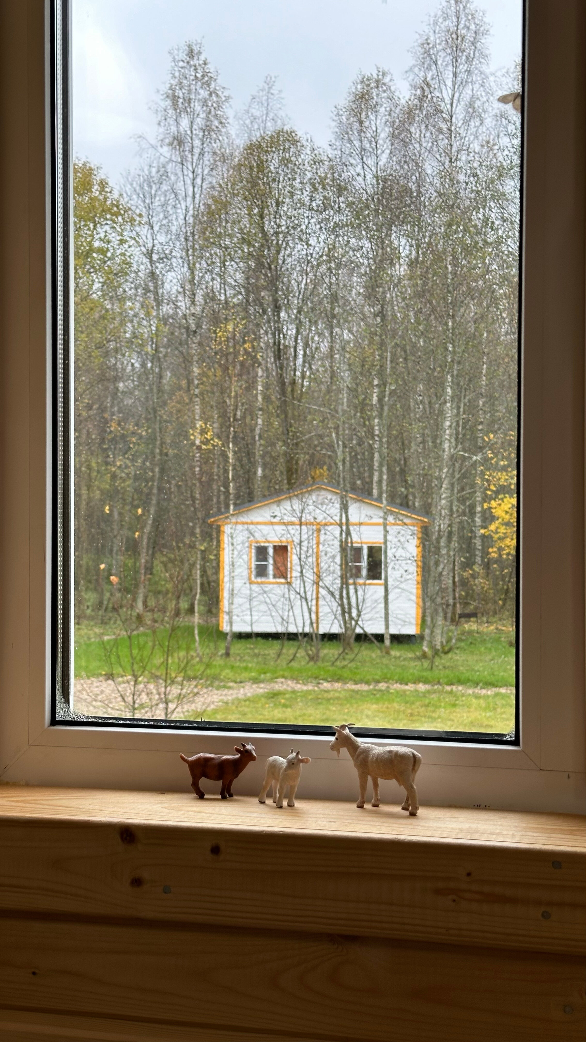 Фото Модная коза