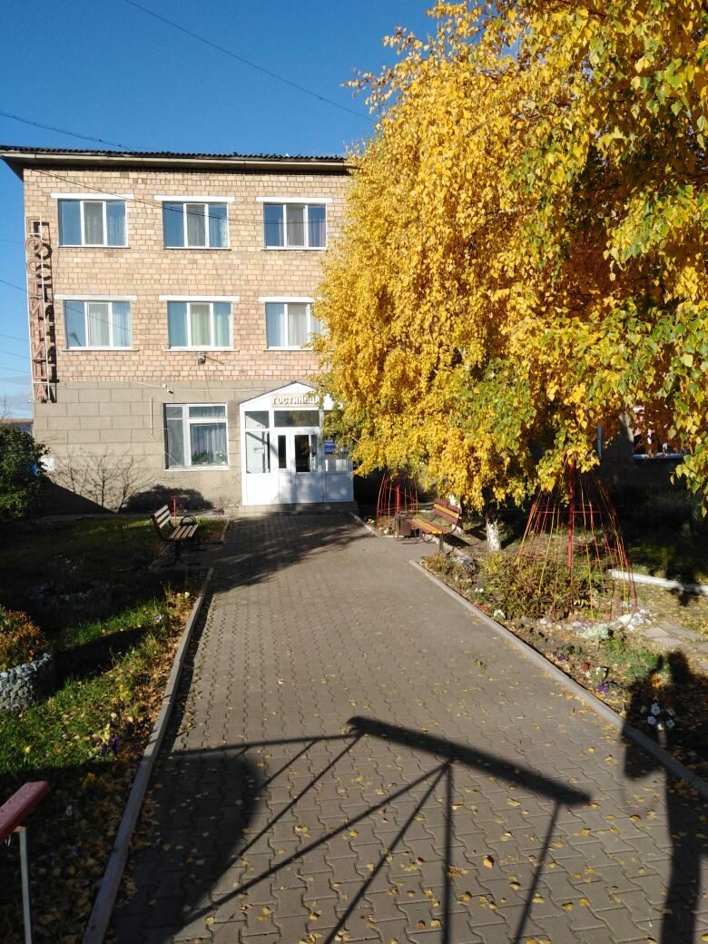 Фото Березка