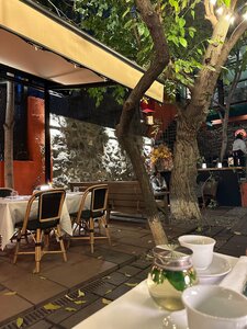 Mina (Saryan Street, 13), restaurant