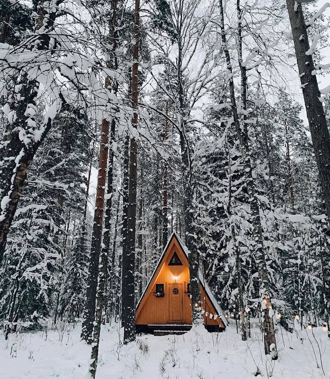 Фото Shanti Home Les