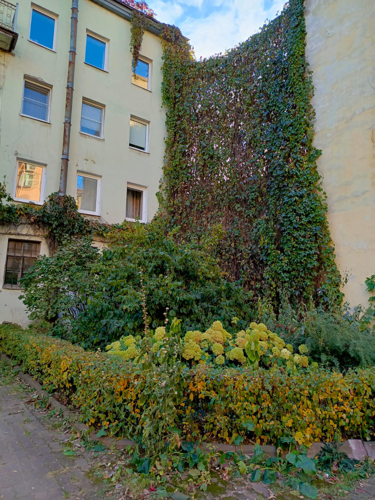 Фото Маргарита