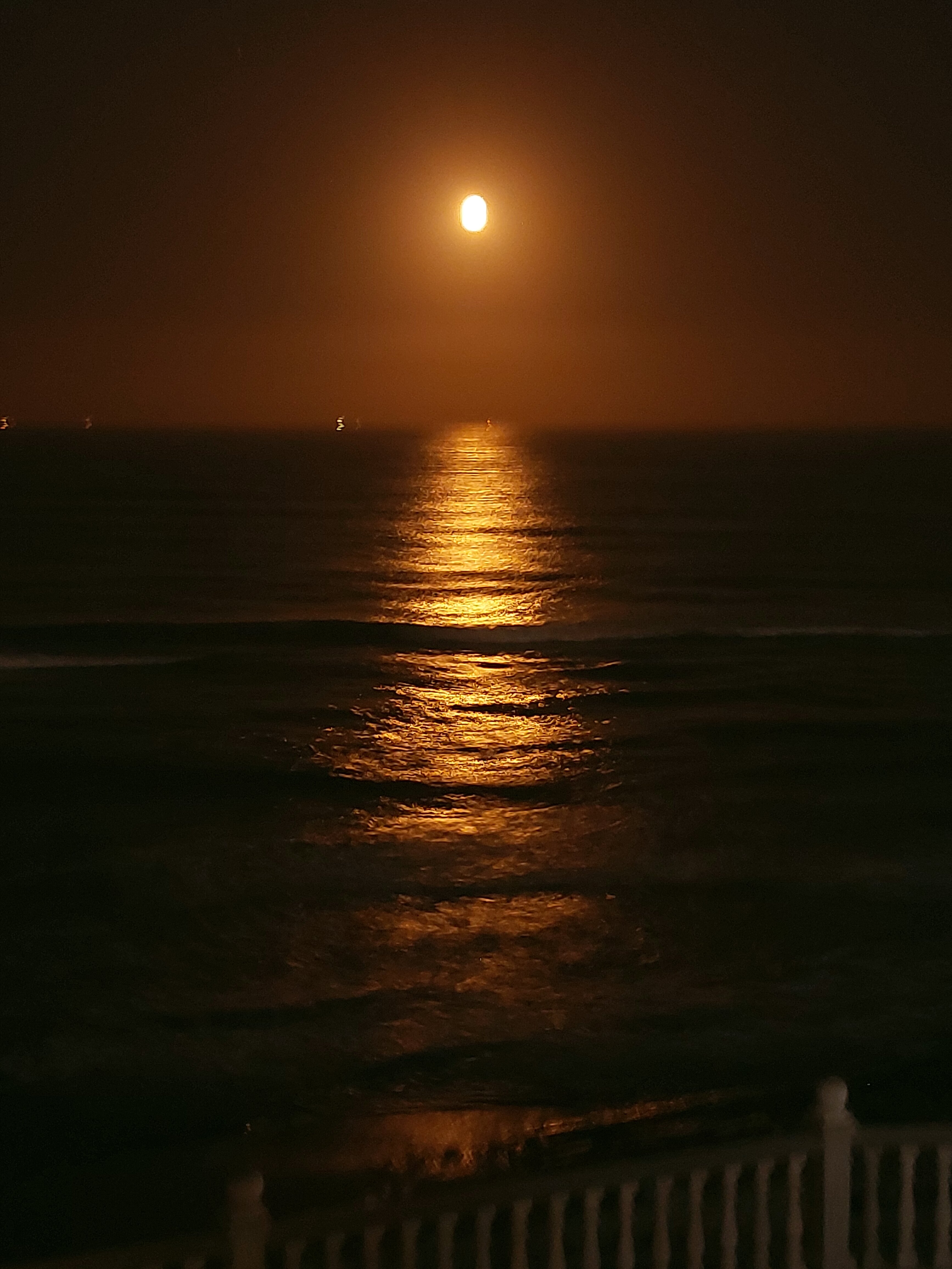 Фото Лунный берег