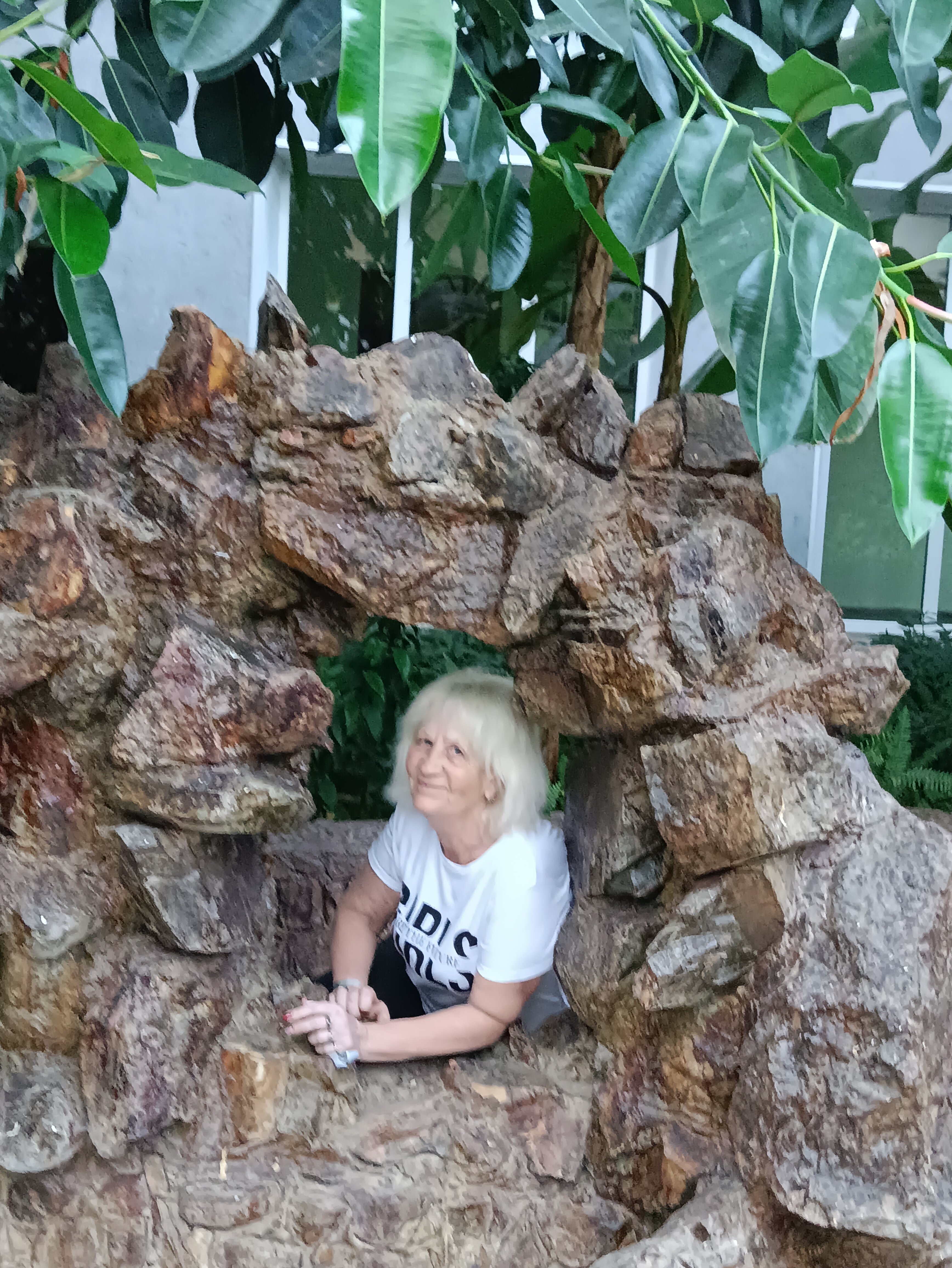 Фото Лукоморье