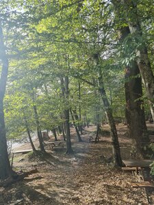 Belgrad Ormanı Piknik Alanı (İstanbul, Sarıyer, Bahçeköy Kemer Mah.), piknik alanı  Sarıyer'den
