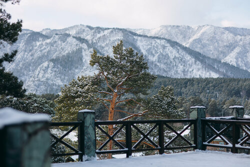 Внешний вид отеля Марьин Остров в Чемале, фото 3