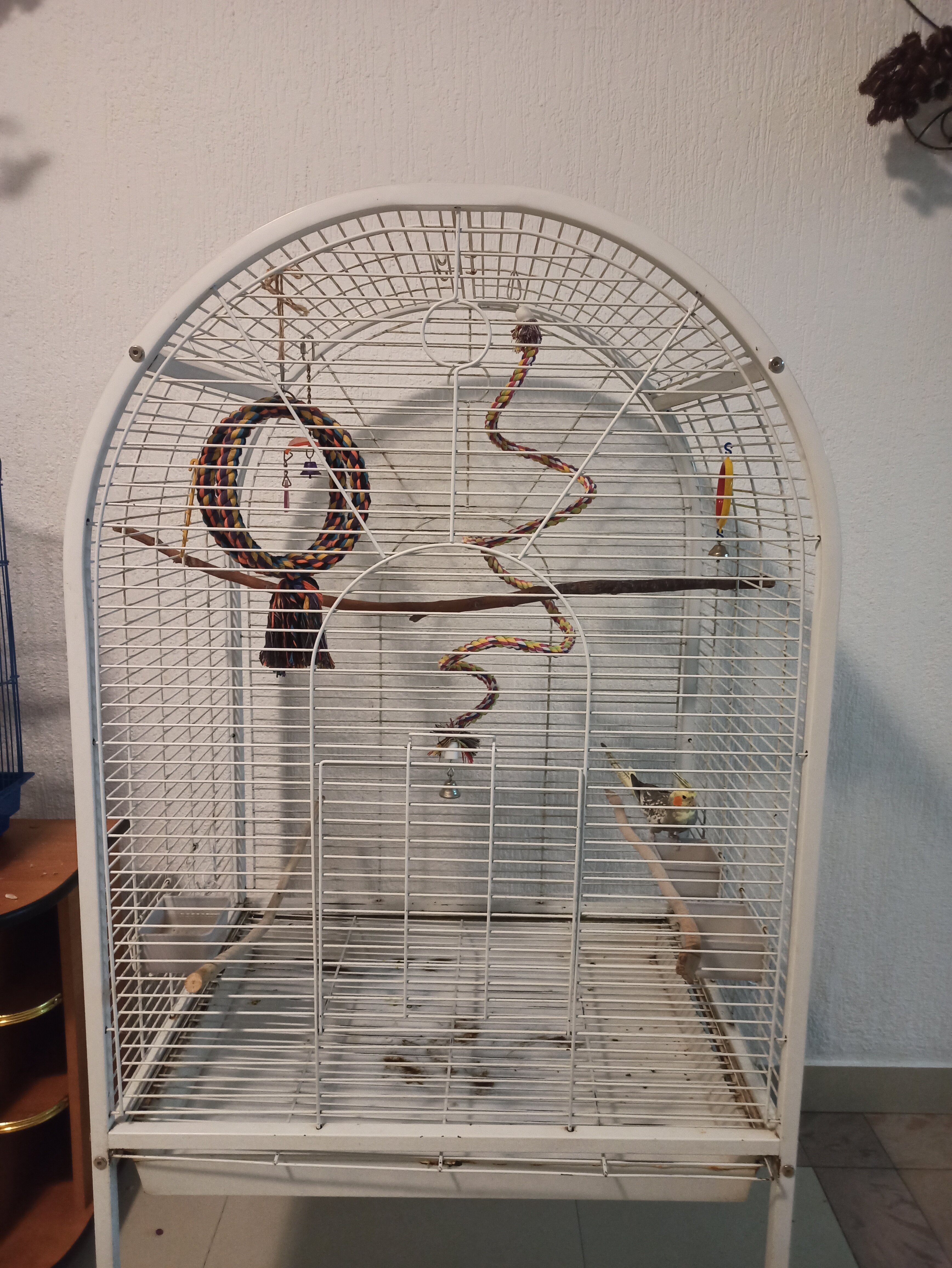 Фото Шанырак