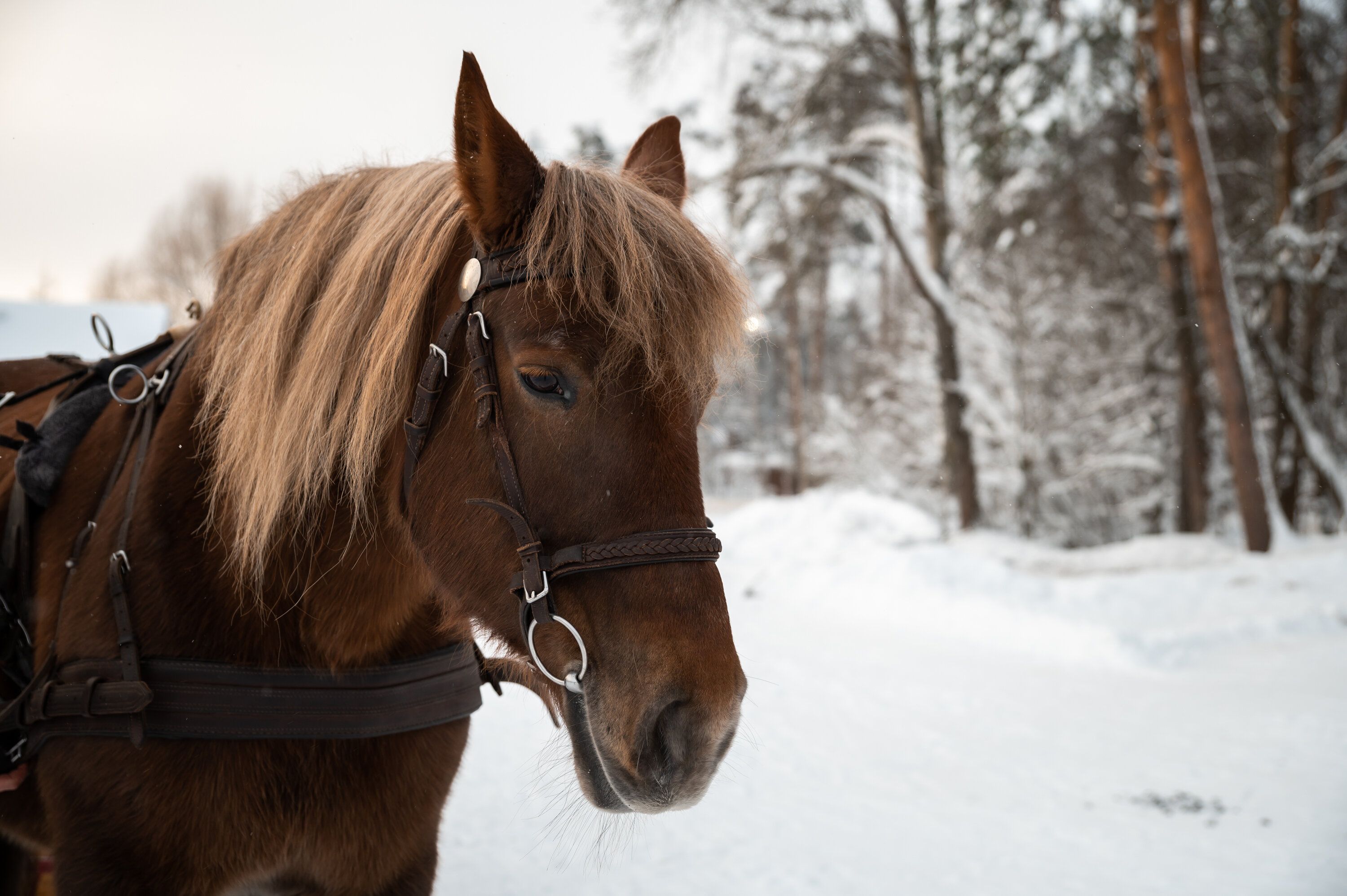 Фото ВКС-Кантри