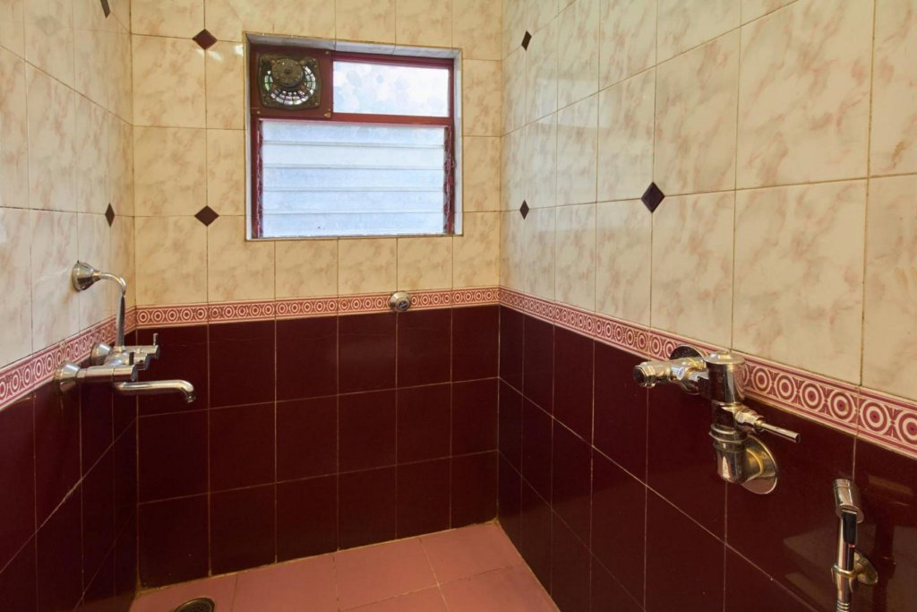 Фото Swan Inn Hotel