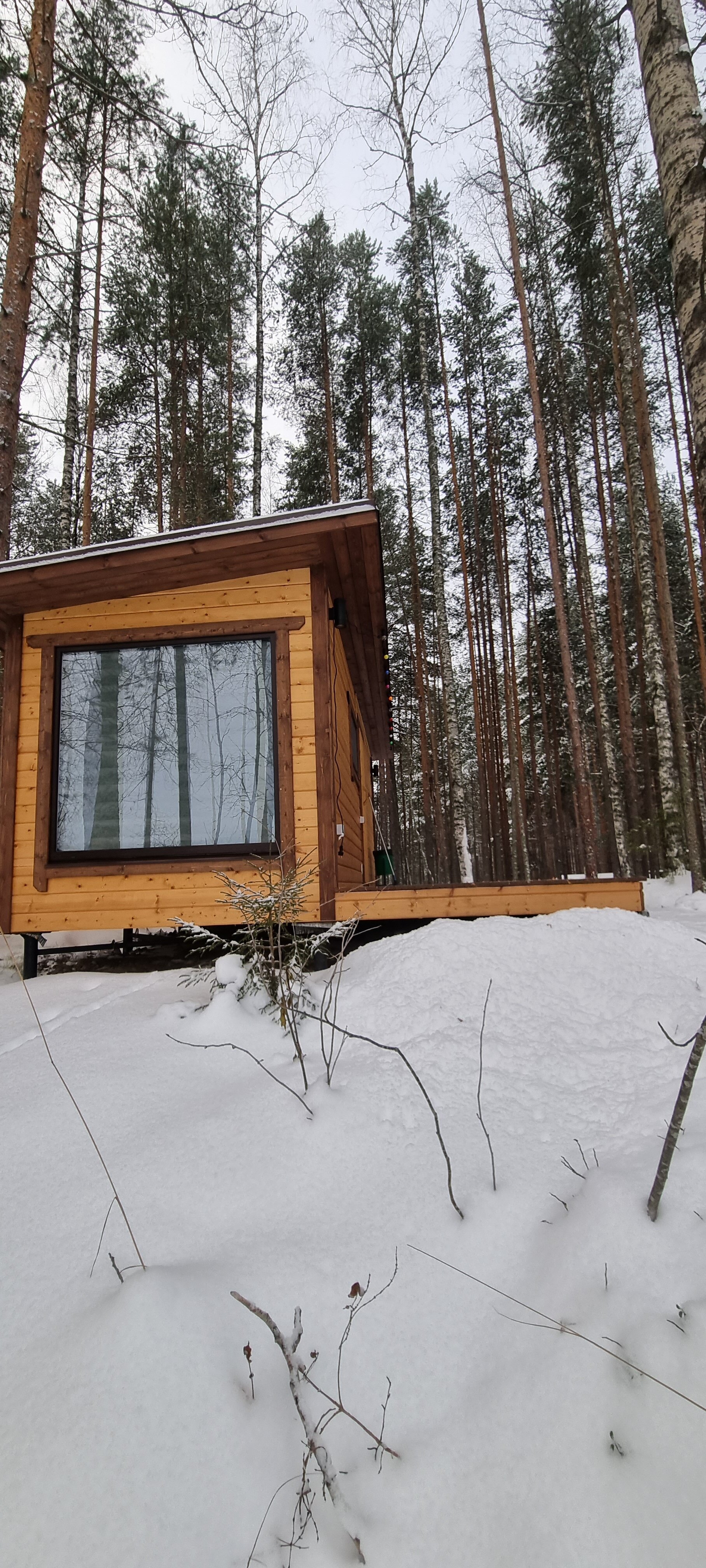 Фото Сандал