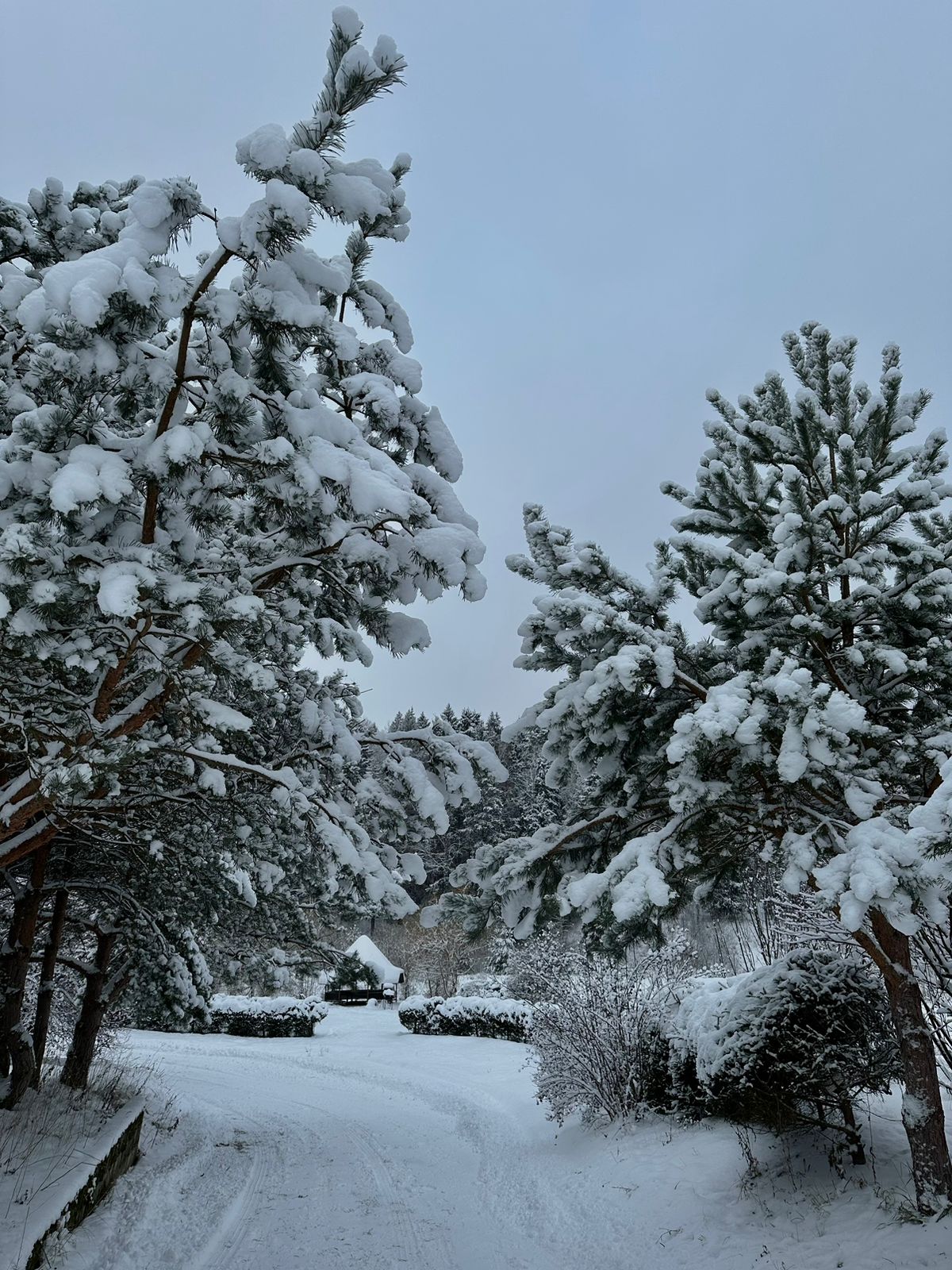 Фото  KatiraHome