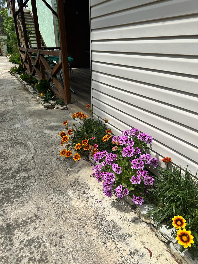 Фото Тихая гавань