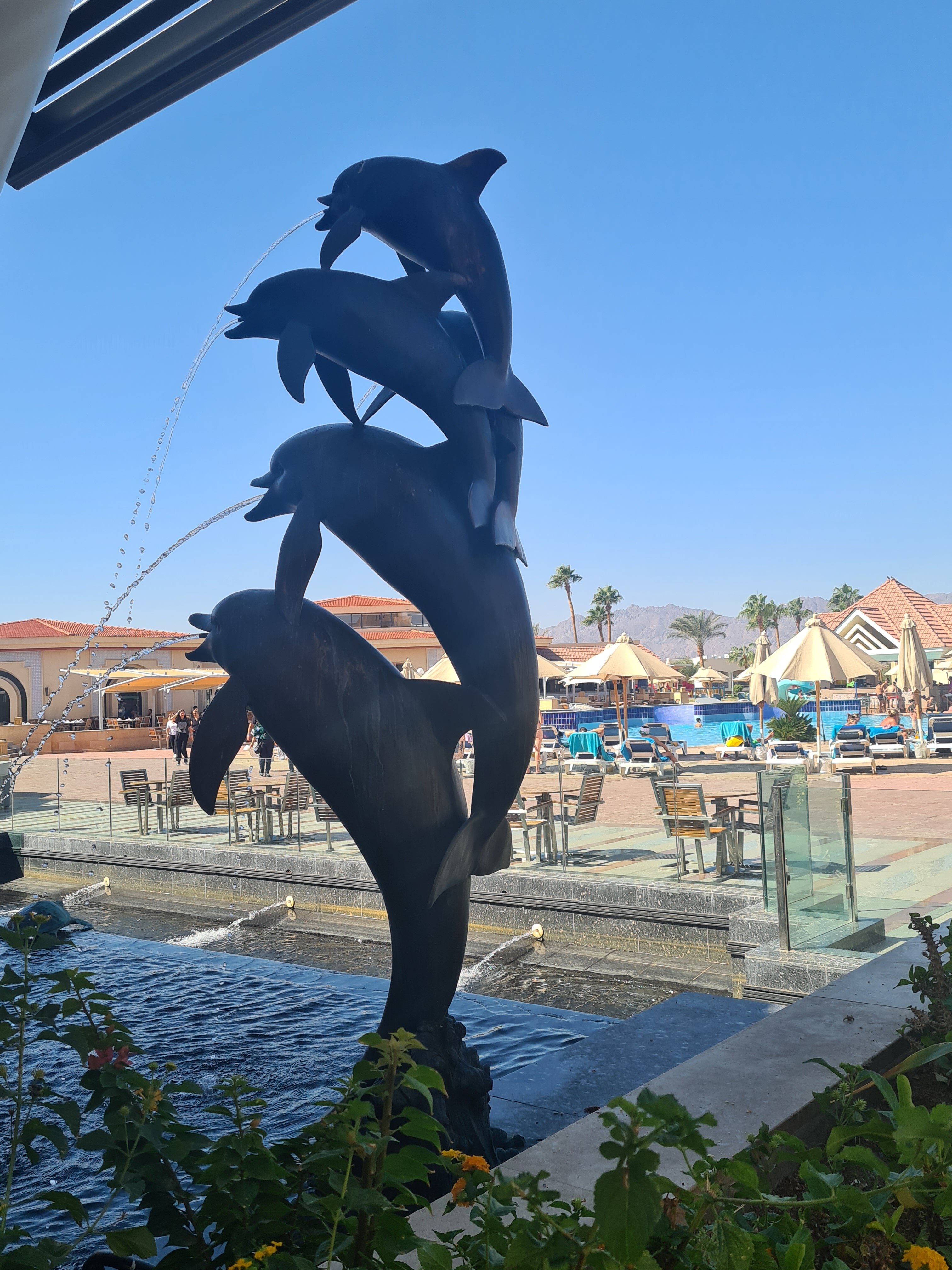 Фото Xperience Kiroseiz Parkland