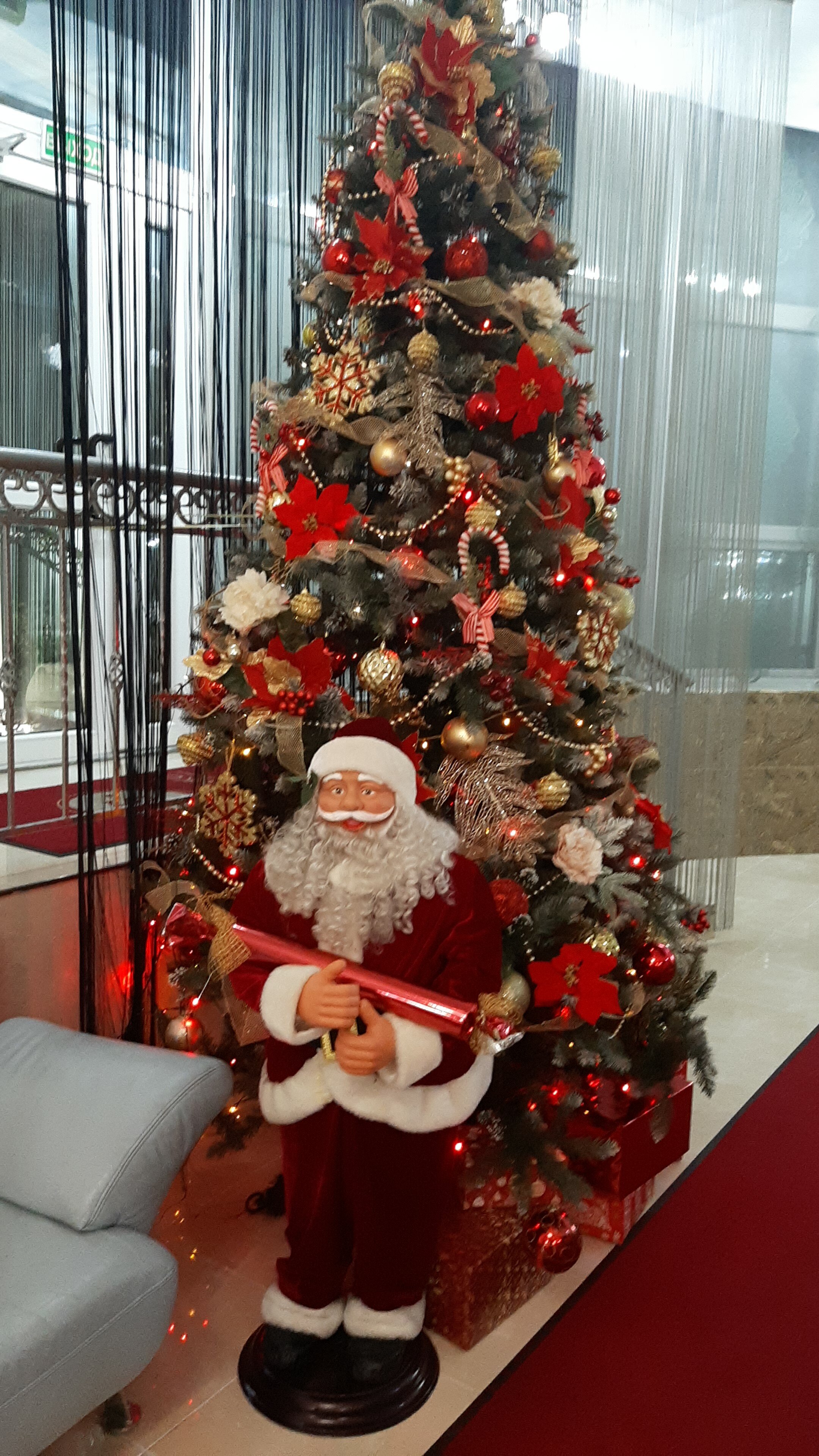 Фото Семашко