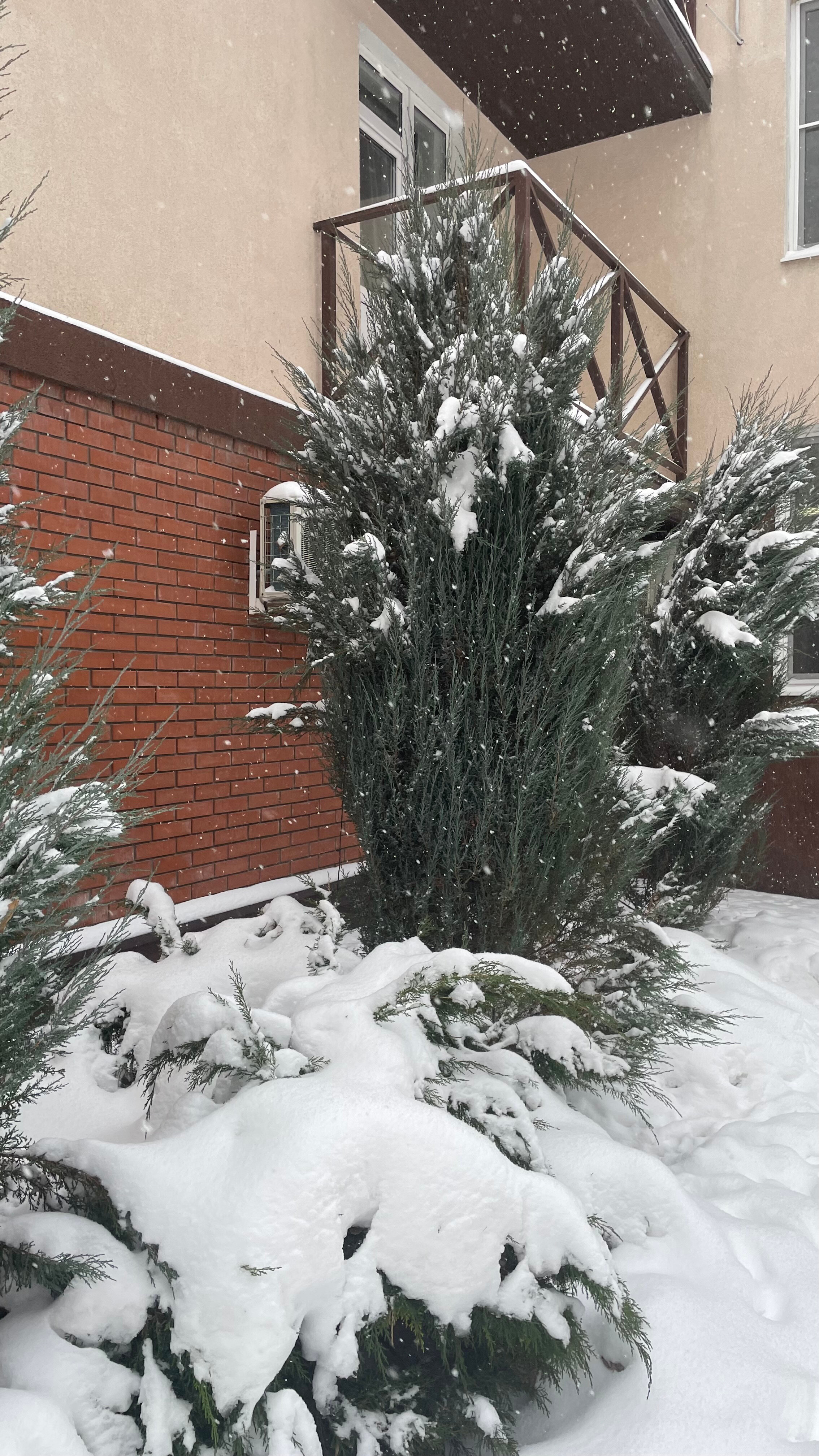 Фото Лондон