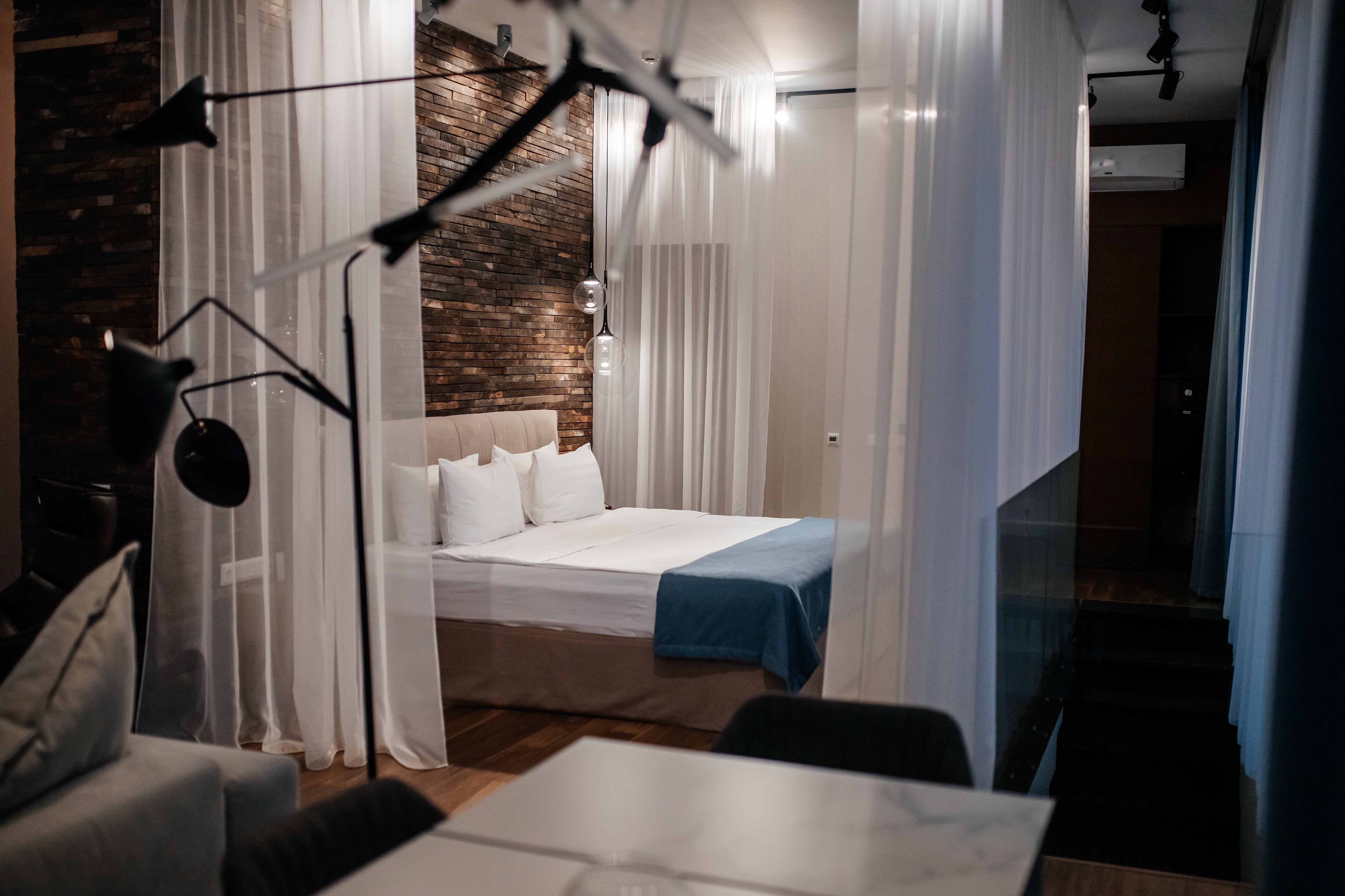 Фото Полёт Чайки