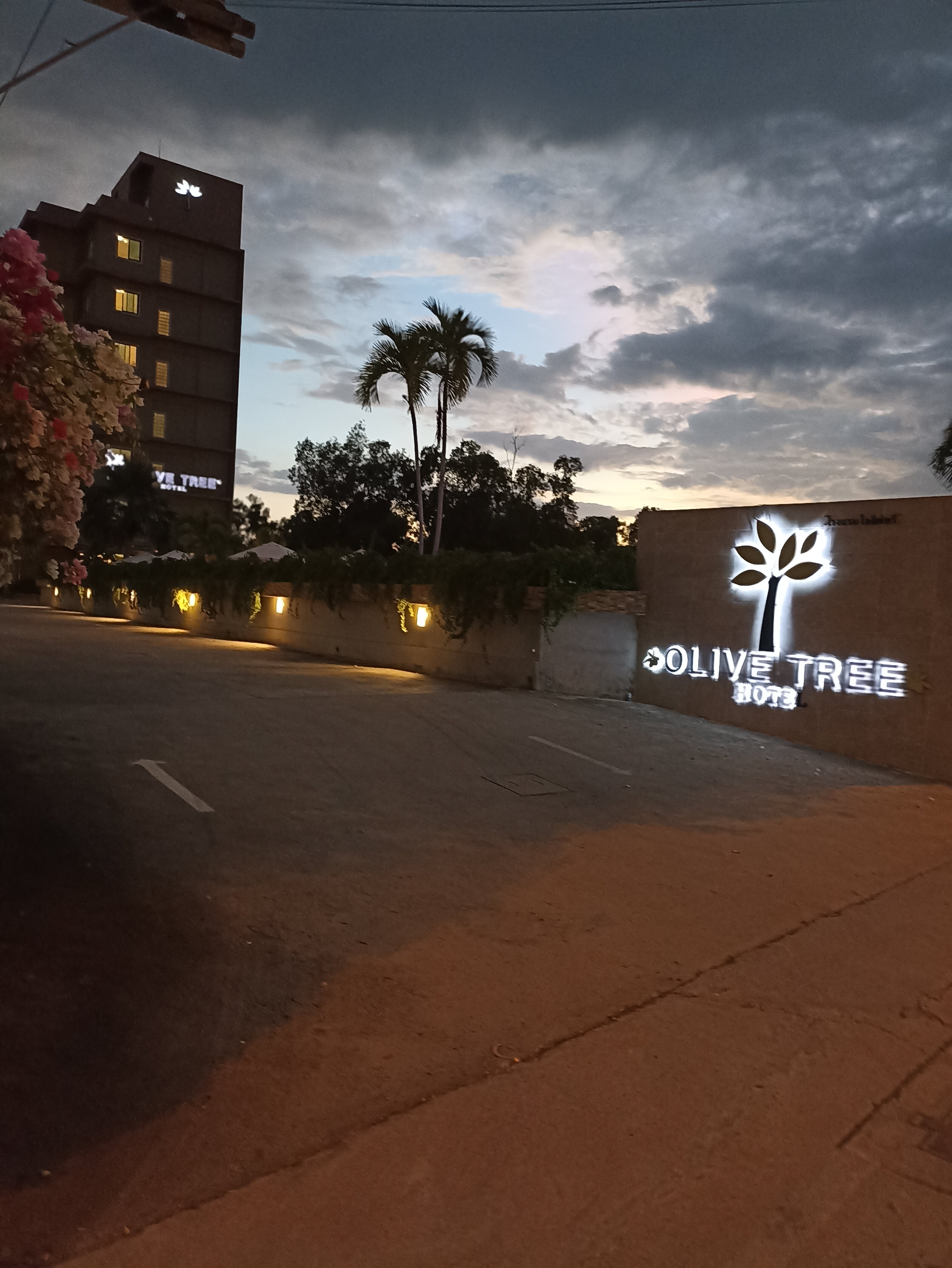 Фото The Mangrove Hotel