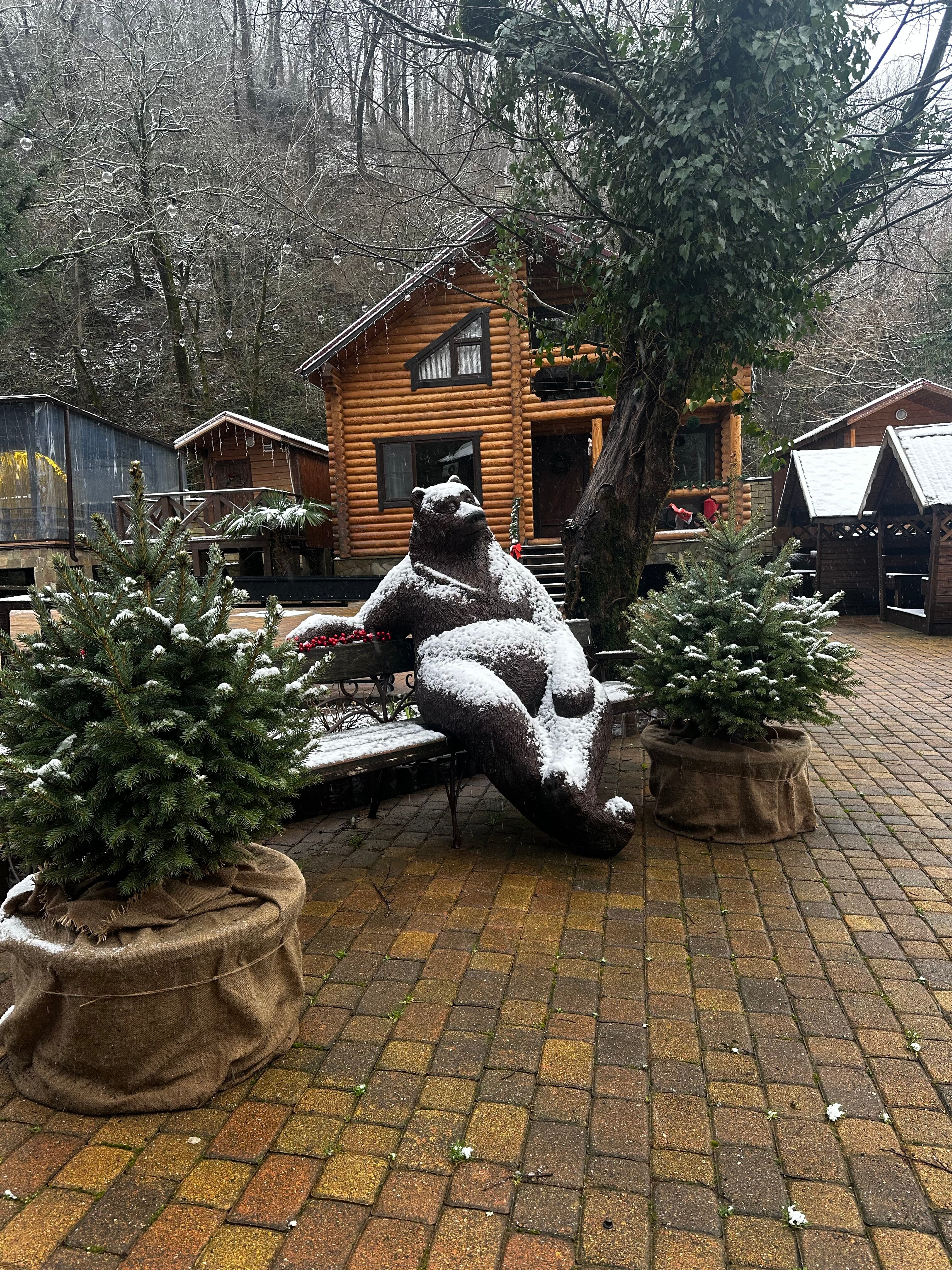 Фото Лесное поместье