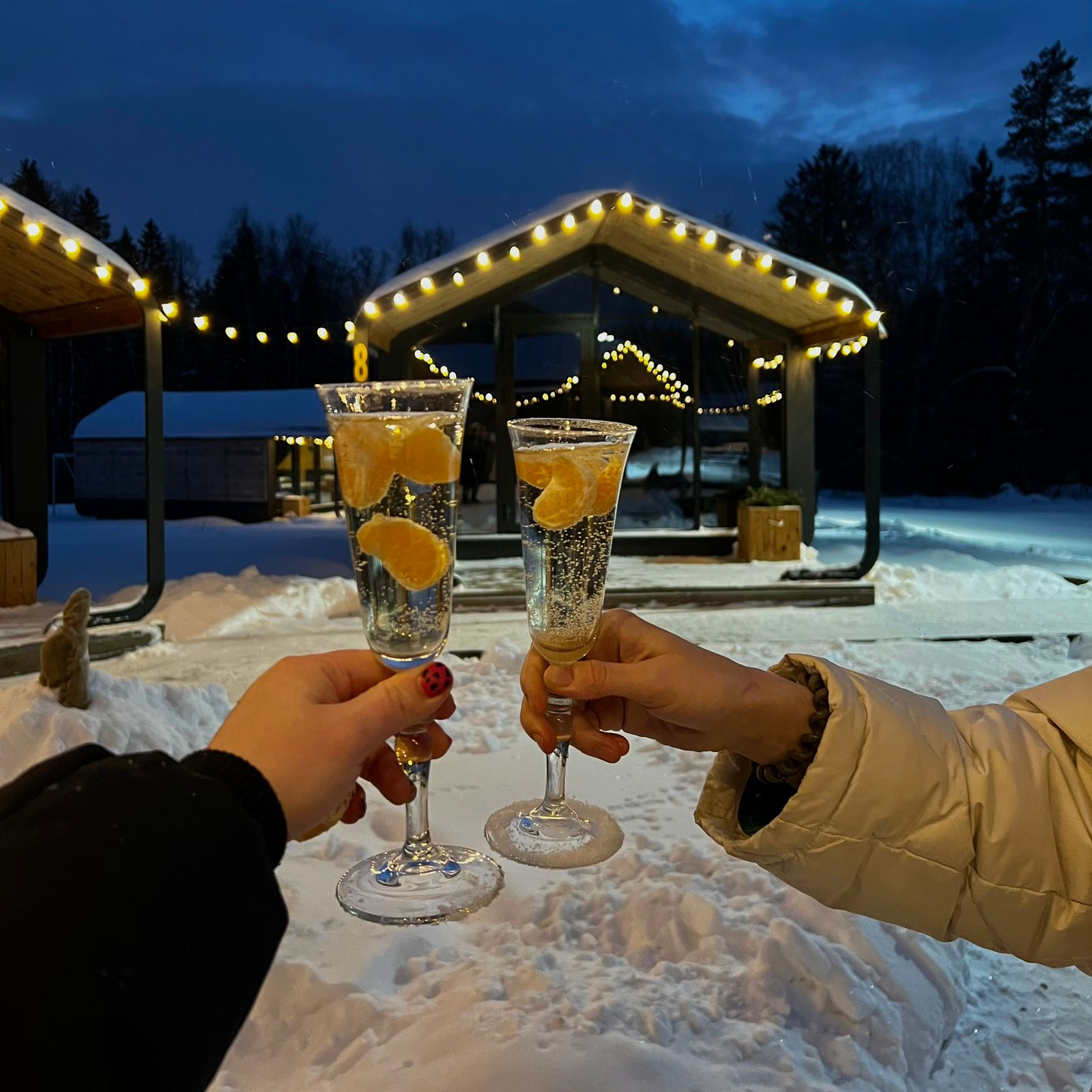 Фото Biathlon Village