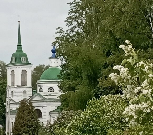 Православный храм Церковь Спаса Нерукотворного Образа, Тула, фото