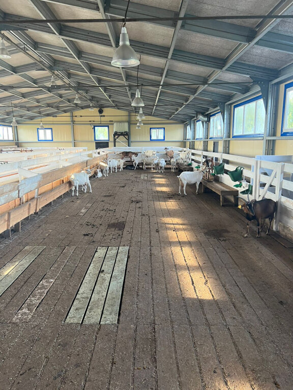 Фото Экоферма Александровский спас