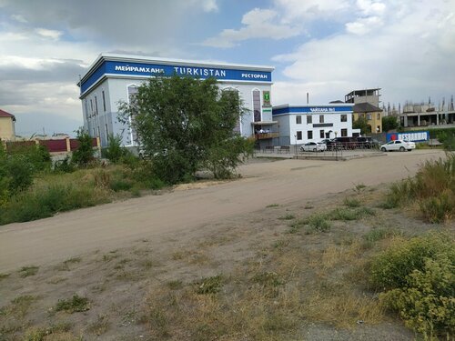 Сақалды қария қыздың көтін жалайды