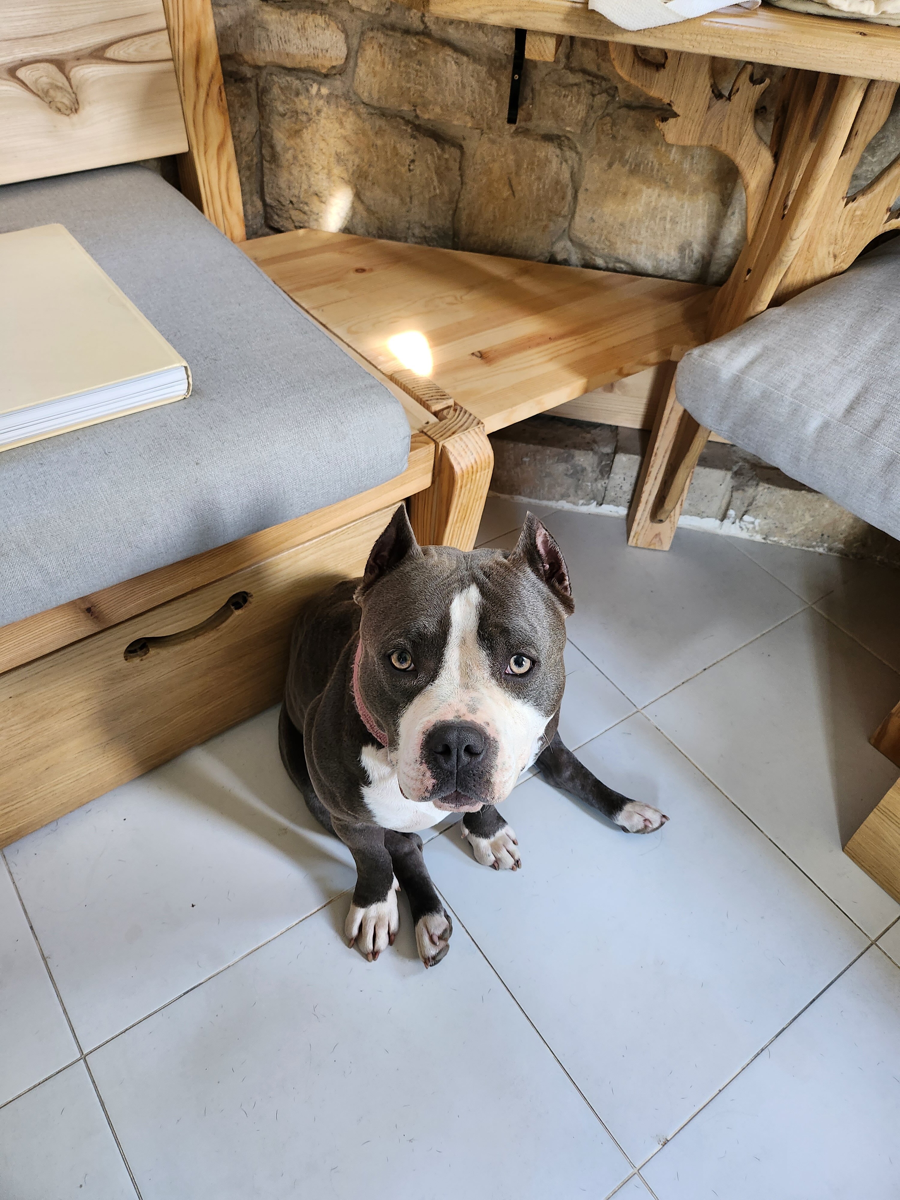 Фото Башня в Царицыно