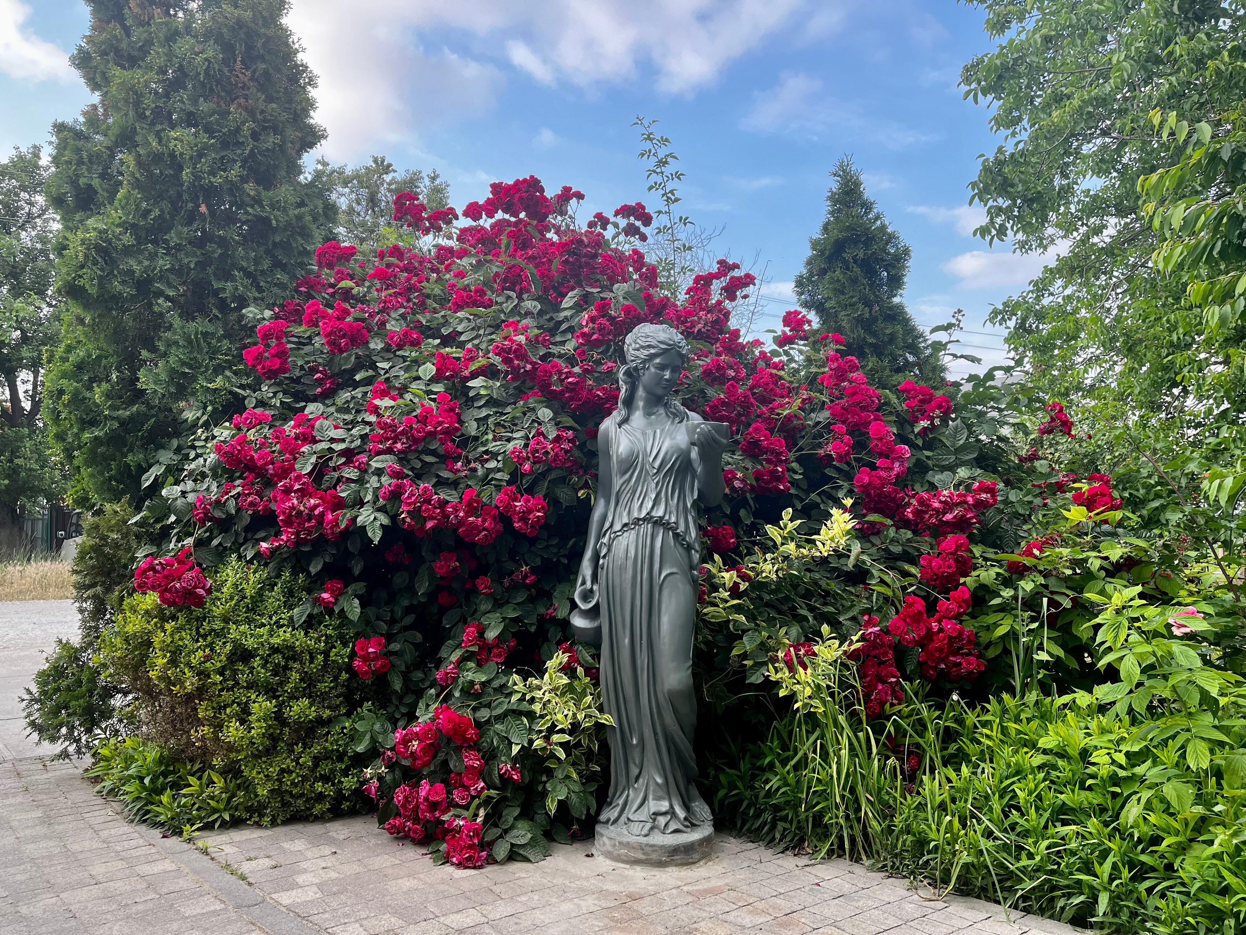 Фото Оливия