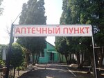 Pharmacy (selo Dmitryashevka, ulitsa Lenina, 44) ، صيدلية