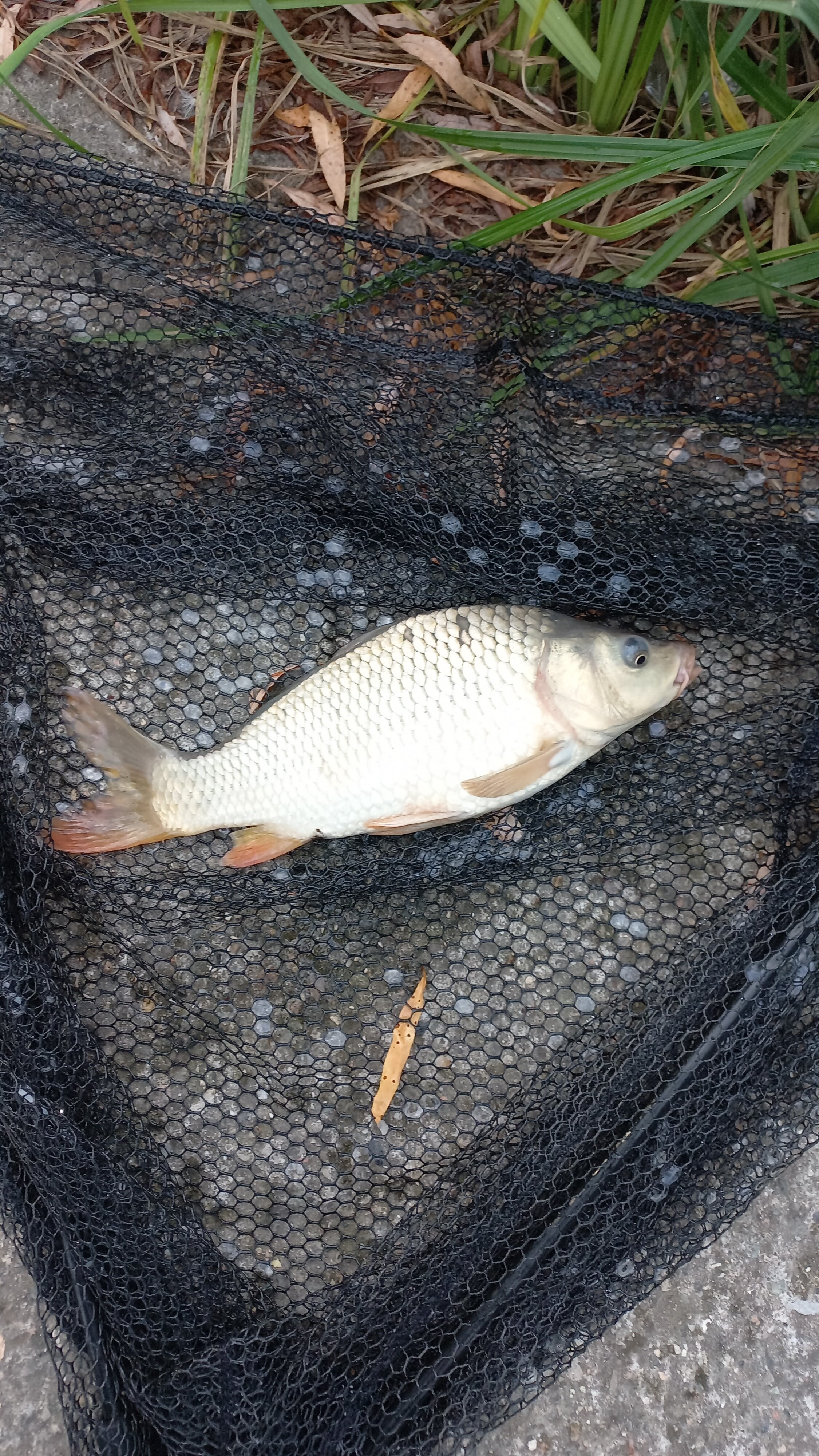 Фото Драгунская застава