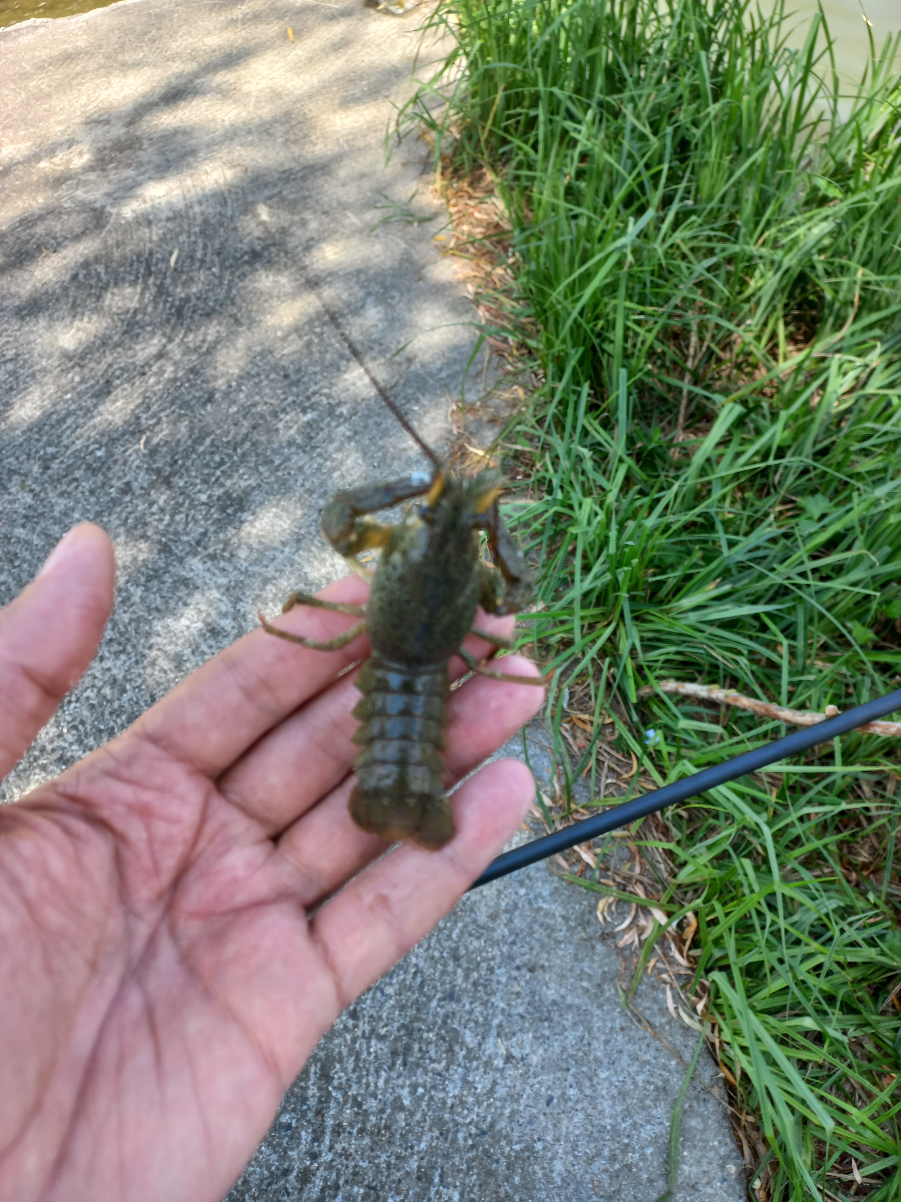 Фото Драгунская застава