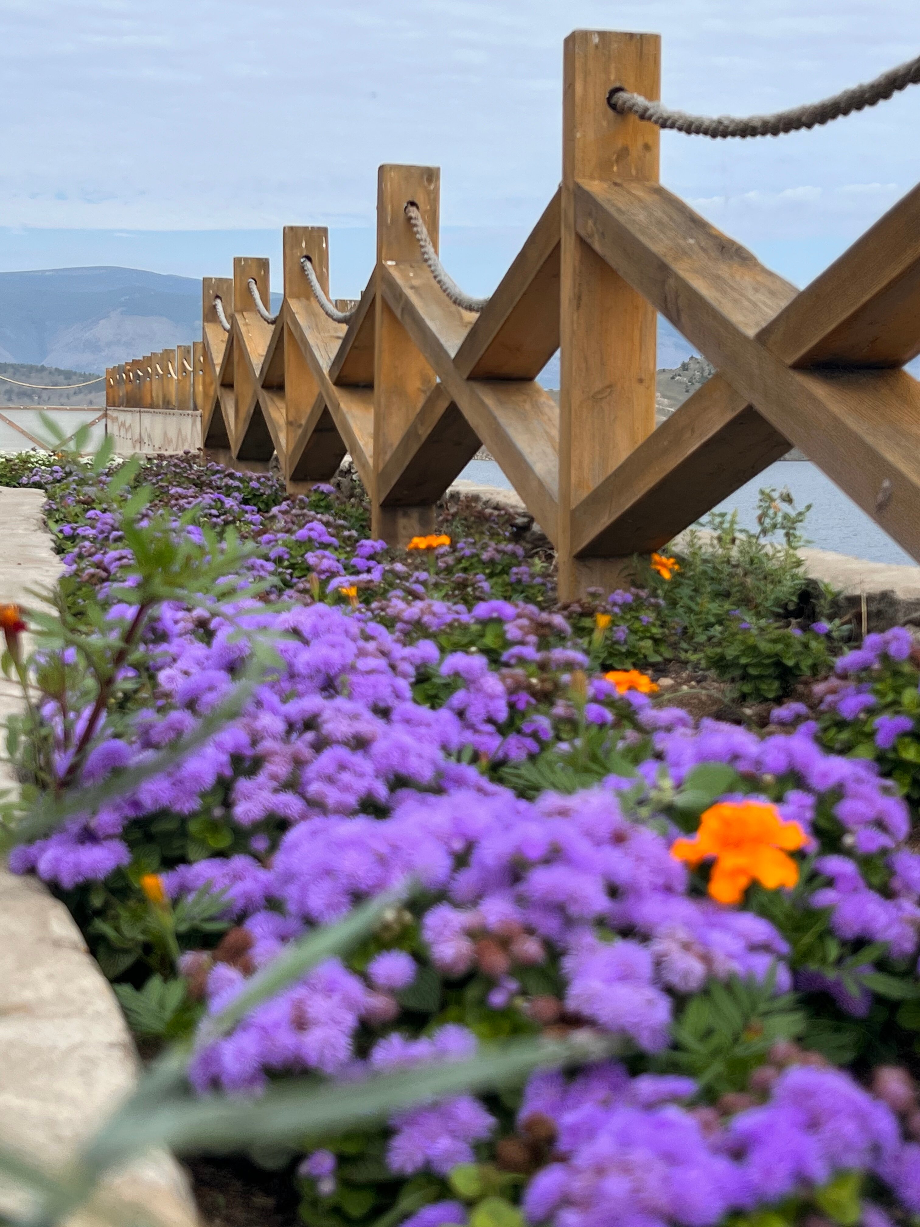 Фото Ветер странствий