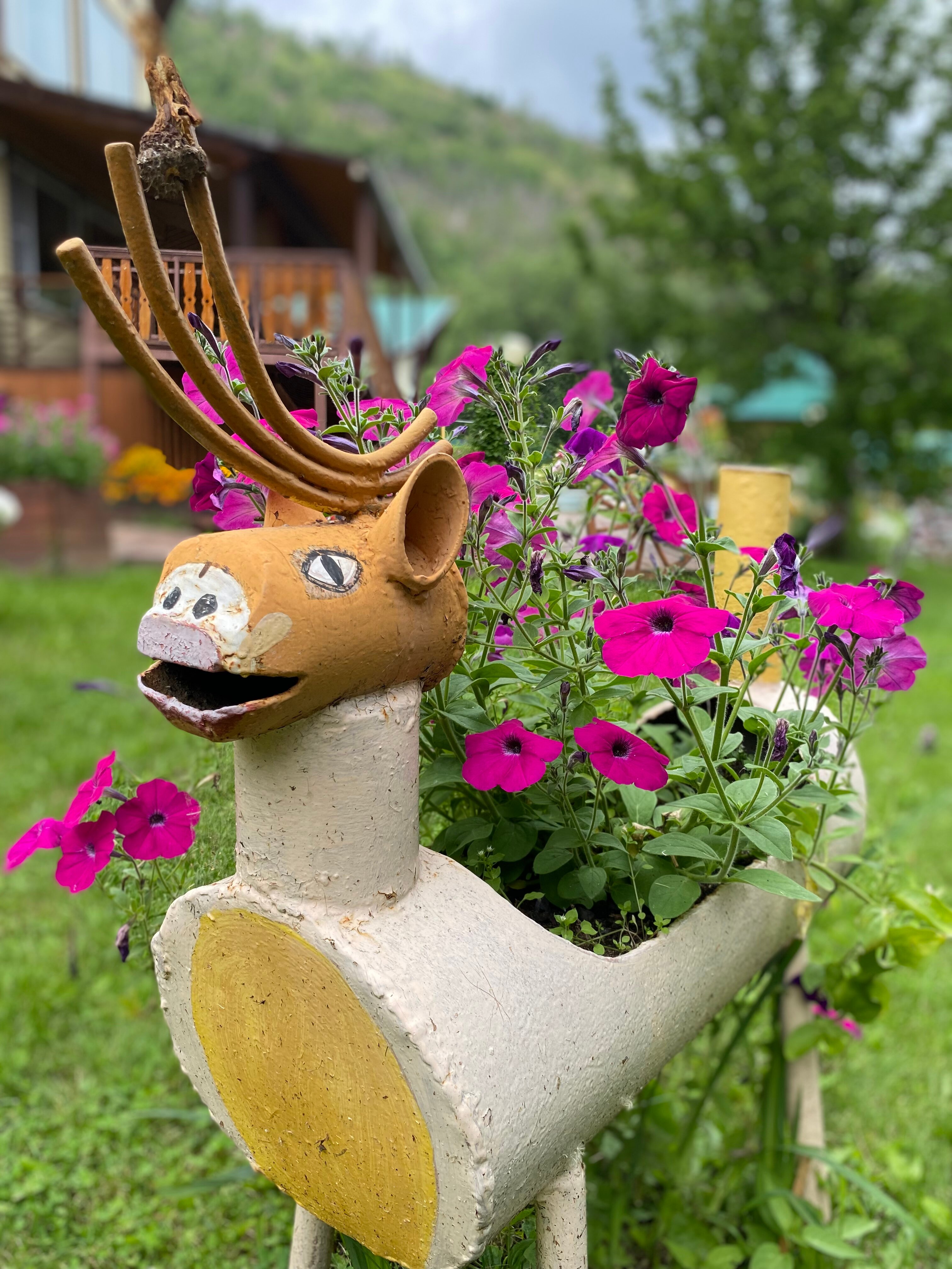 Фото Парамушир тур