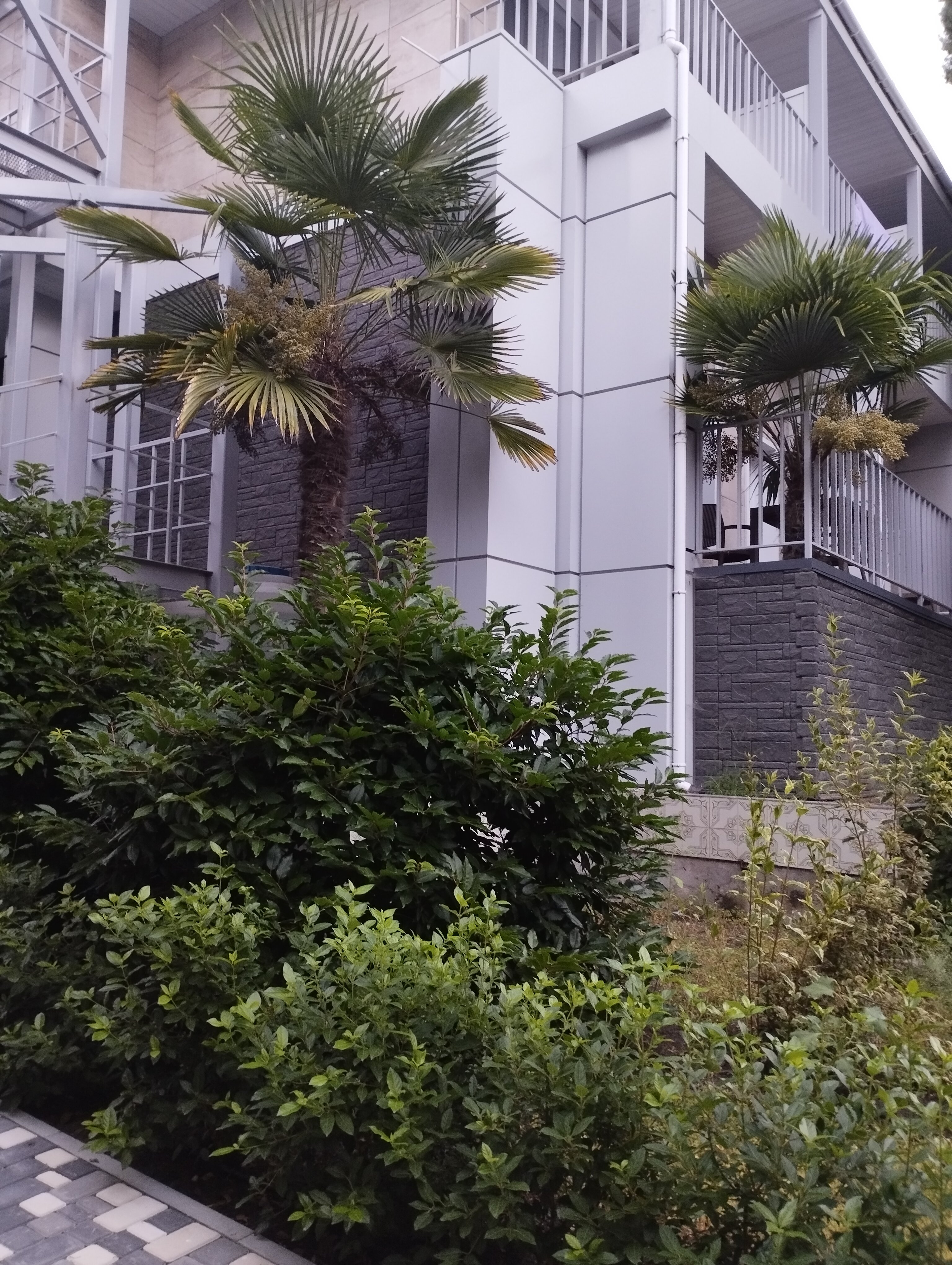 Фото Феодоро