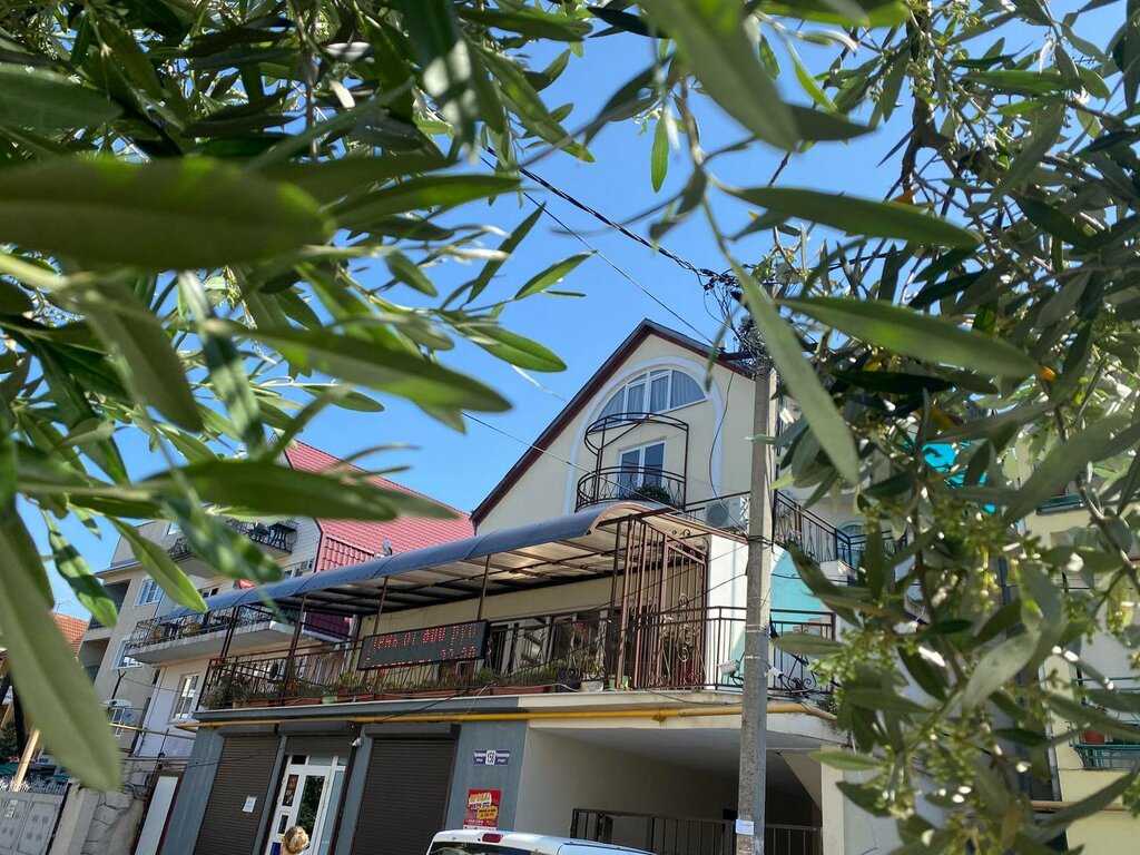 Дадиани ул просвещения 46 сочи фото Natali, guest house, Sochi, Adler, Prosvescheniya Street, 158 - Yandex Maps