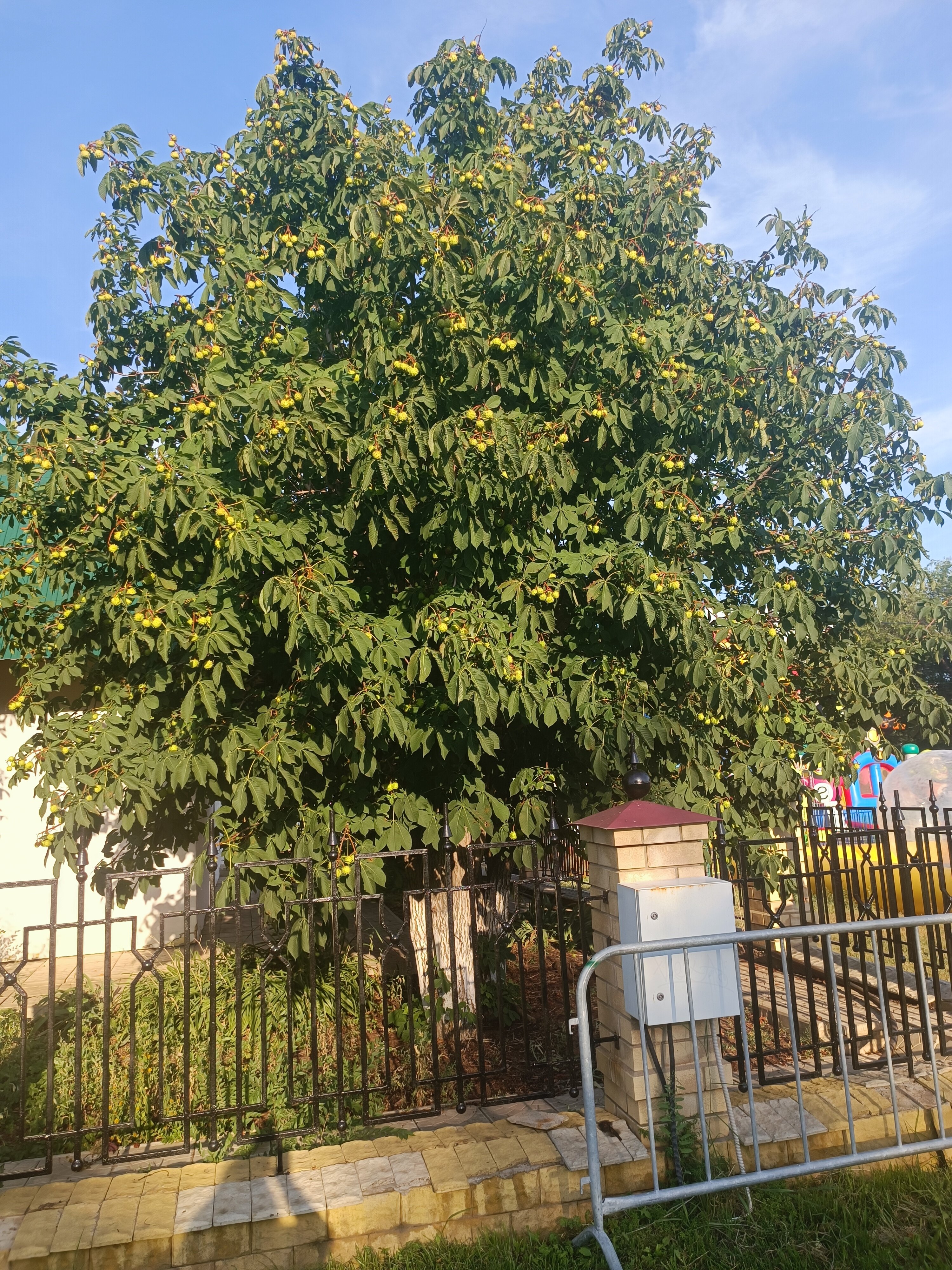 Фото Харбор