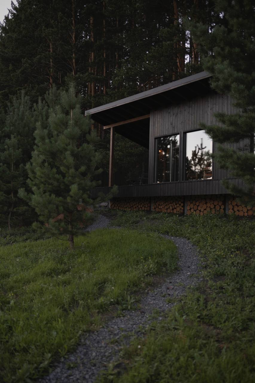 Фото Блэк пайн