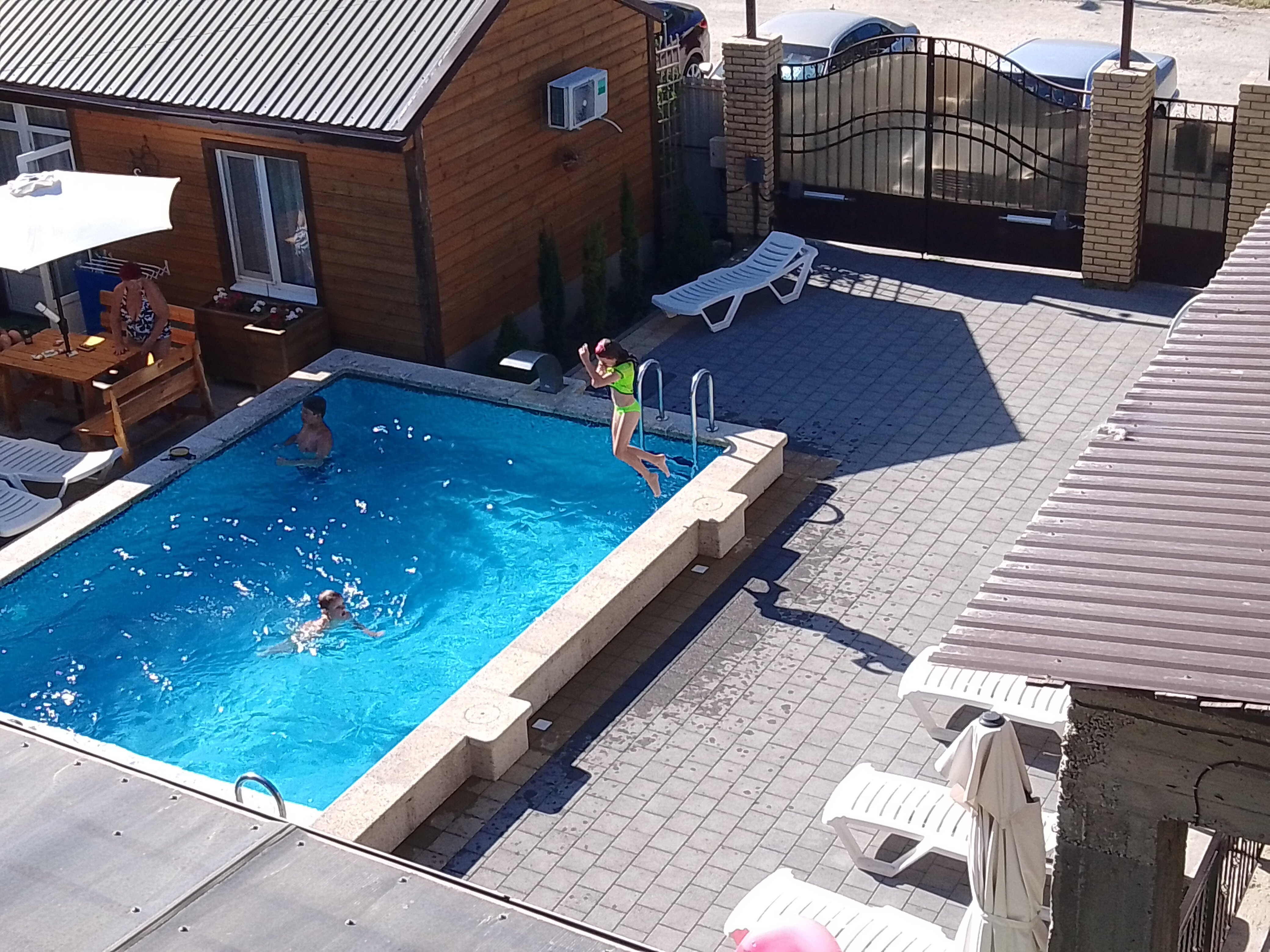 Фото Альфа Костас