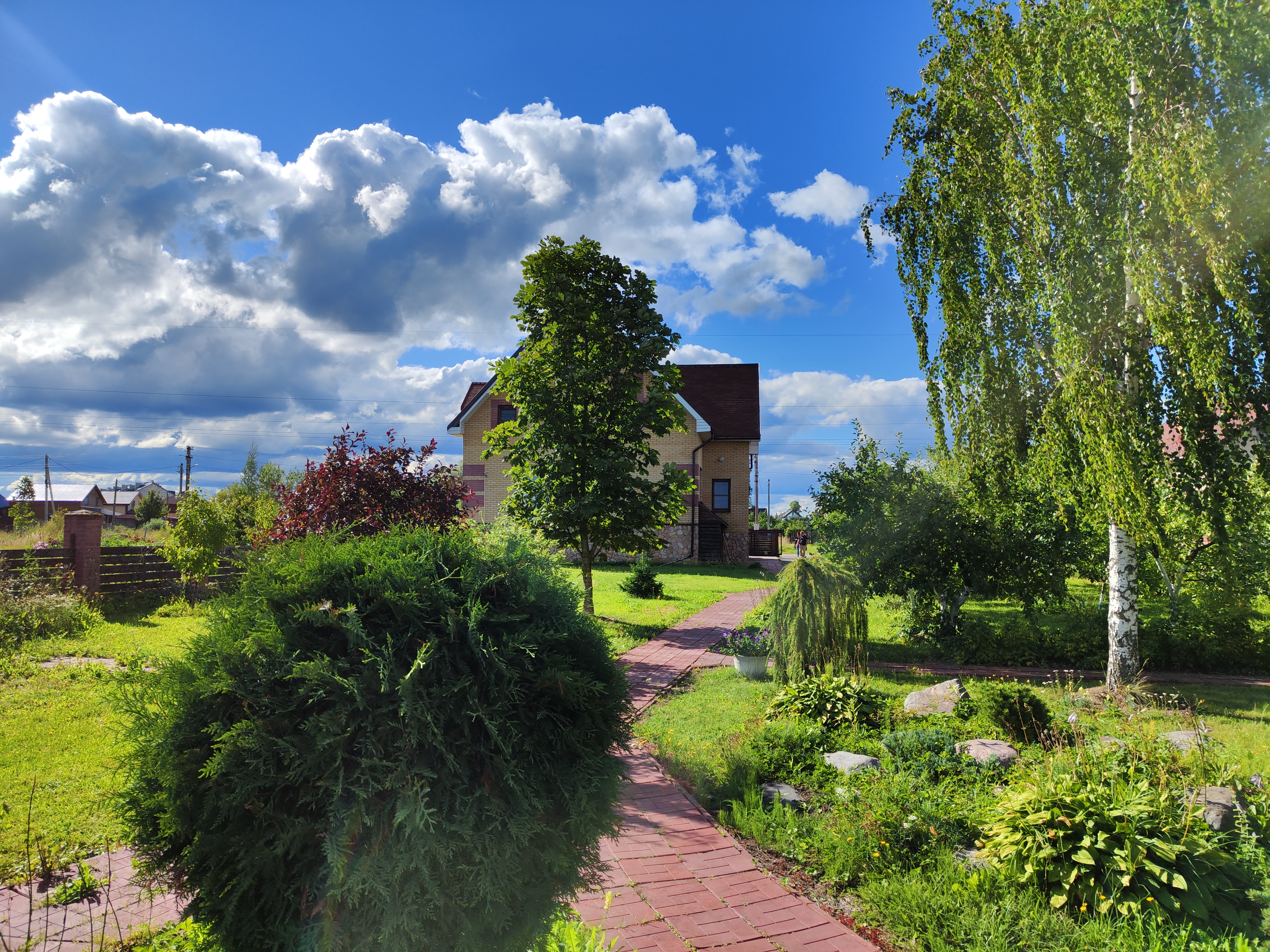 Фото Три клена