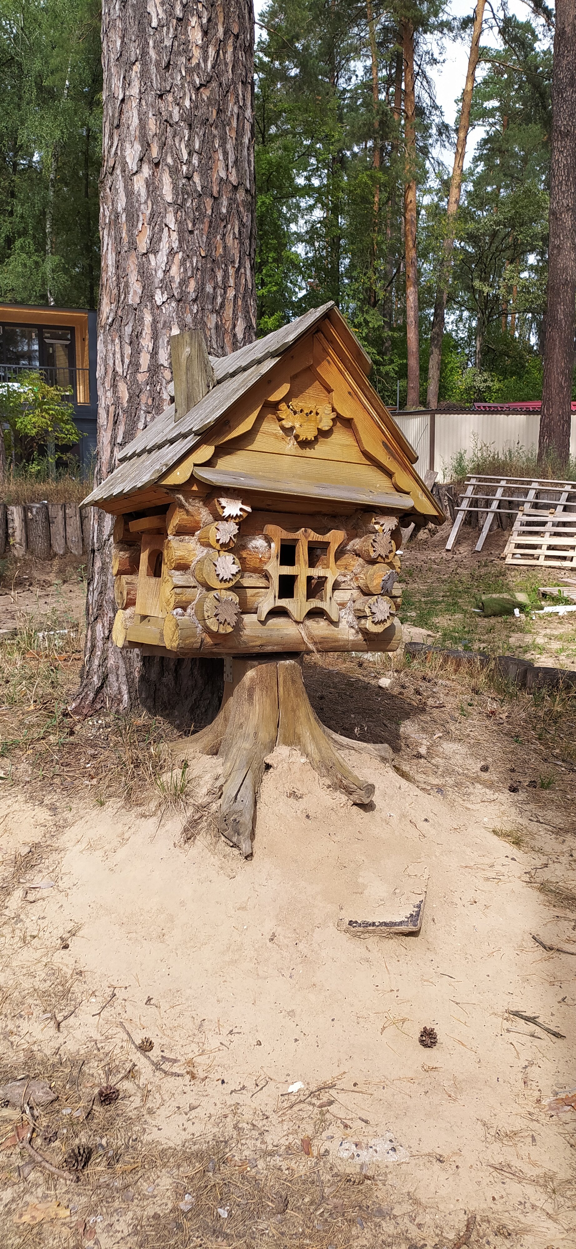 Фото Лебяжье