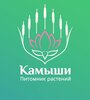 Питомник водных растений Камыши