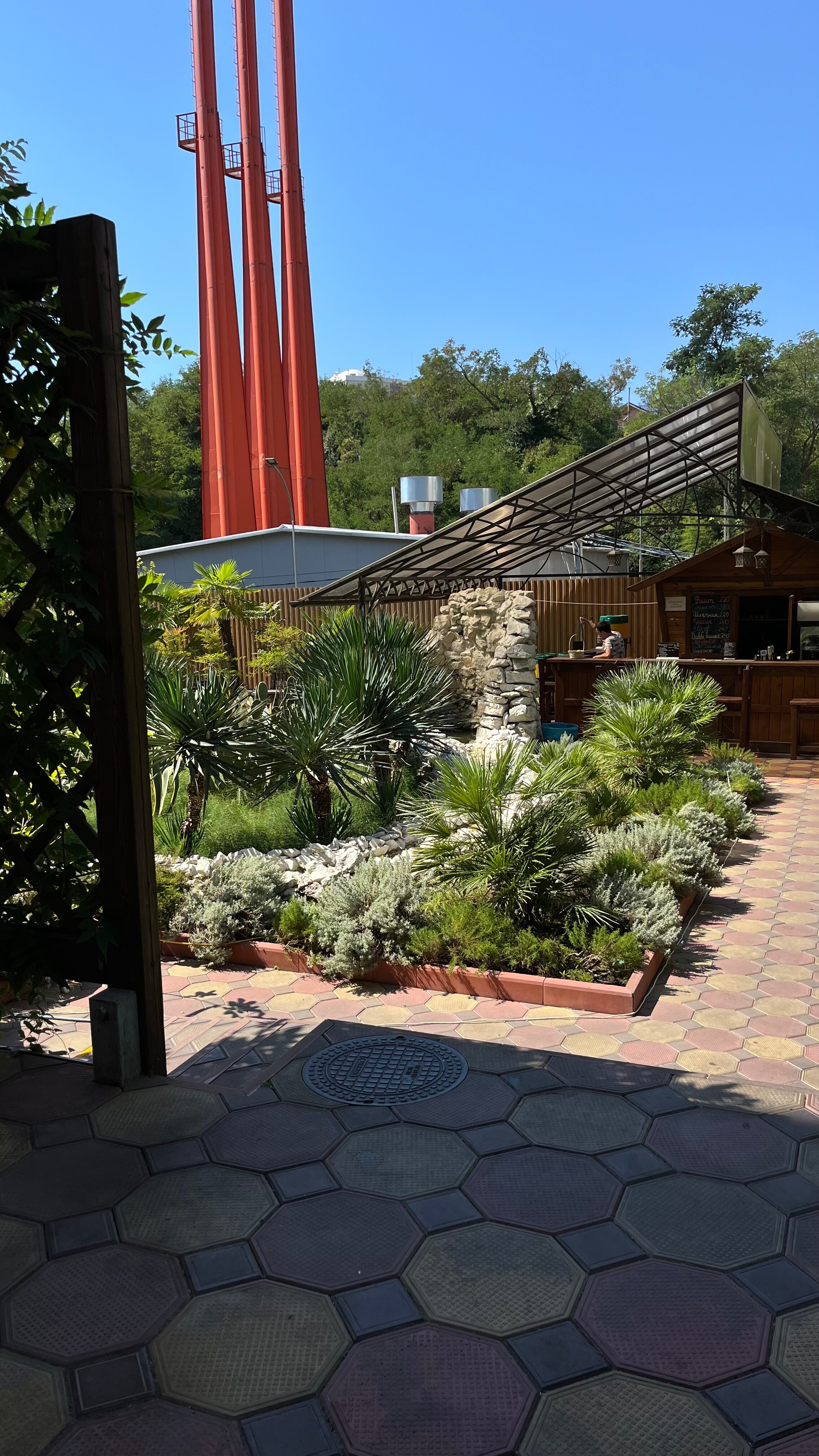 Фото Азалия