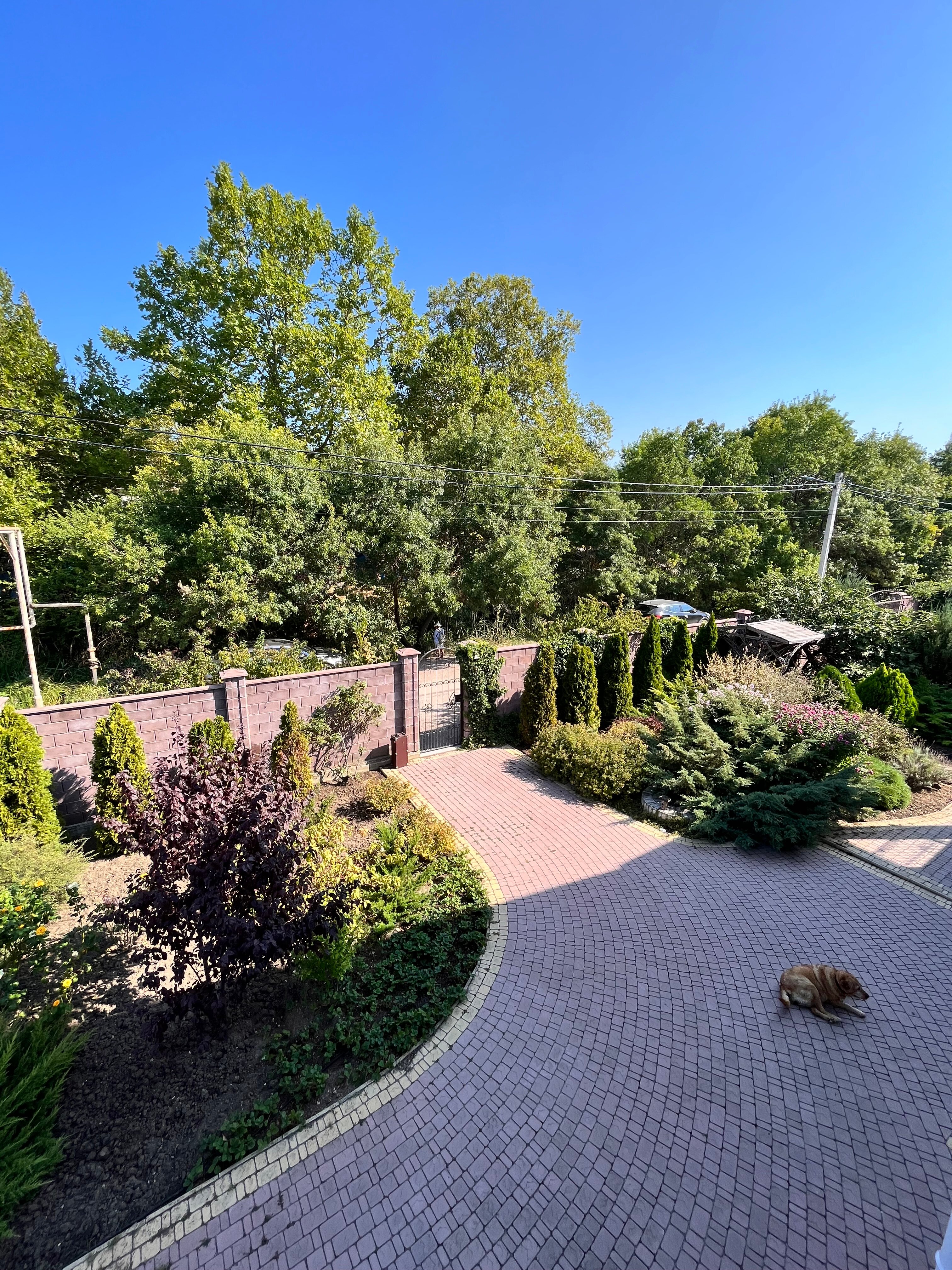 Фото Шато Блан