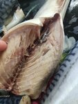 Рыбный мир (Bolshaya Moskovskaya ulitsa, 38) ، الأسماك والمأكولات البحرية