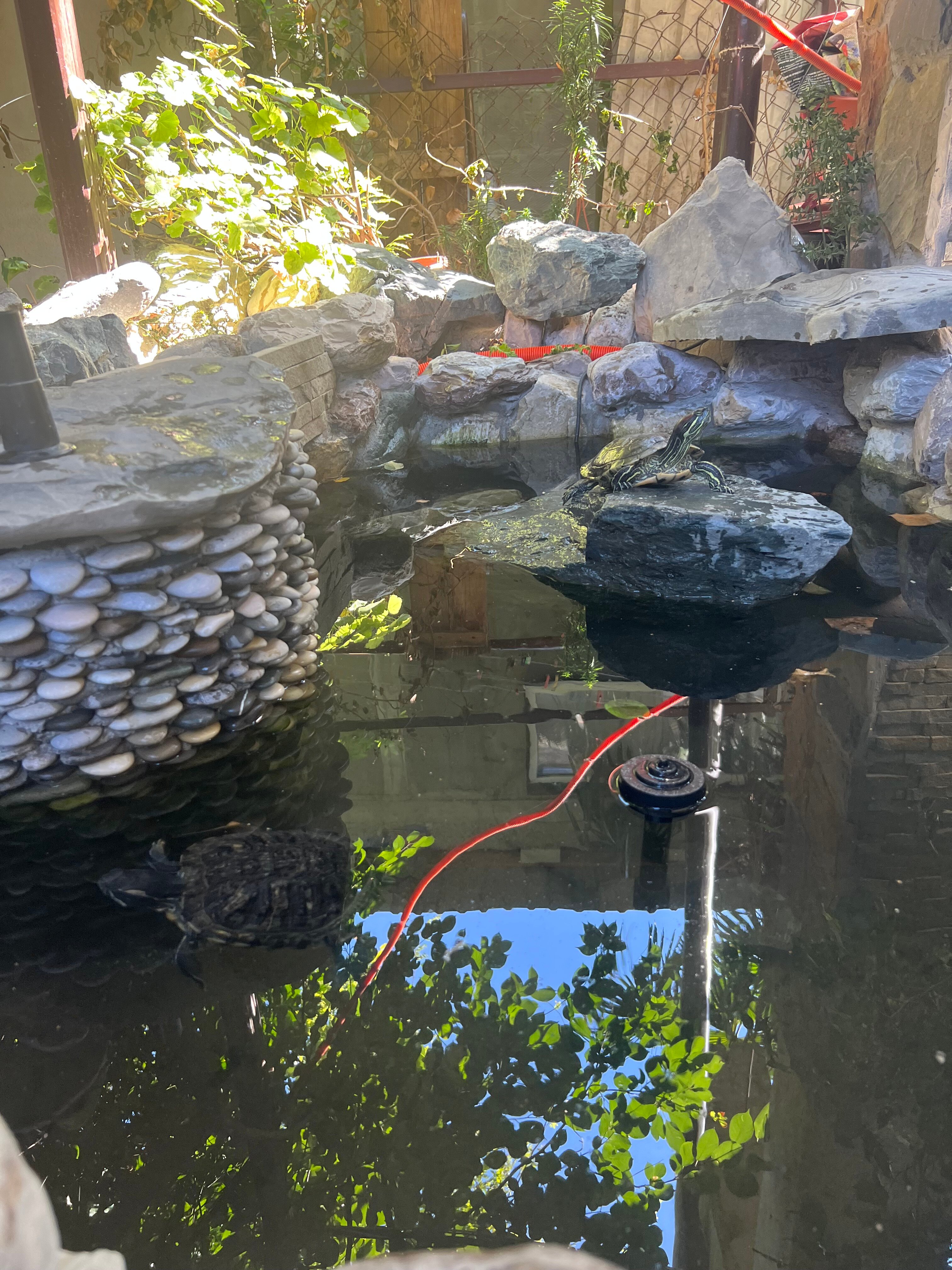 Фото Колибри Beach